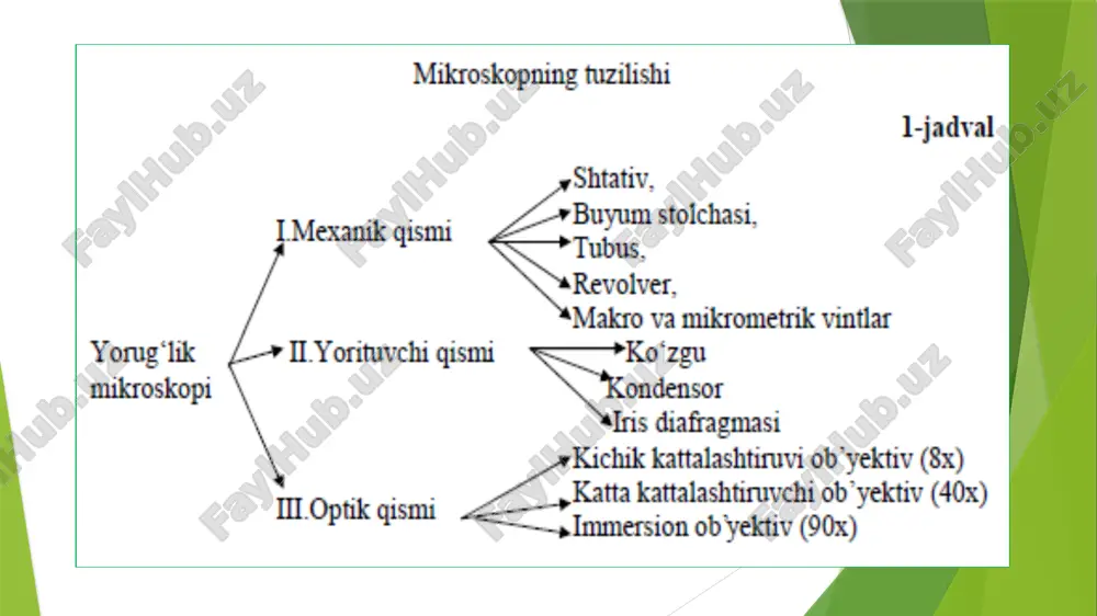 o‘tining kichik bo‘lakchasi joylashtirilib, usti qoplovchi oyna bilan yopiladi. preparat avval kichik, keyin katta obyektiv orqali kuzatiladi. hujayralar to‘g‘ri to’rtburchak shaklida bo‘lib, ikki qavat qalin qobiq bilan qoplangan, sitoplazmada ko‘p sonli yumaloq-oval yashil rangli donachalar ko‘rinadi. bular - plastidalar. bo'yalmagan preparatda yadro ko’rinmydi. bir nechta hujayraning rasmini chizib, qobiq, sitoplazma, plastidalar belgilab qo‘yiladi. mashg‘ulot oxirida o‘qituvchi talabalar albomlarini, testlar va vaziyatli masalalar orqali ularning mavzuni o‘zlashtirishini tekshiradi, bilimlarini baholaydi, keyingi mashg‘ulot uchun vazifalar beradi. hujayrani tuzilishi va funksiyalari image1.png image2.gif image3.png image4.png image5.png image6.png image7.png image8.png image9.png image10.png image11.png image12.png image13.png image14.png /docprops/thumbnail.jpeg