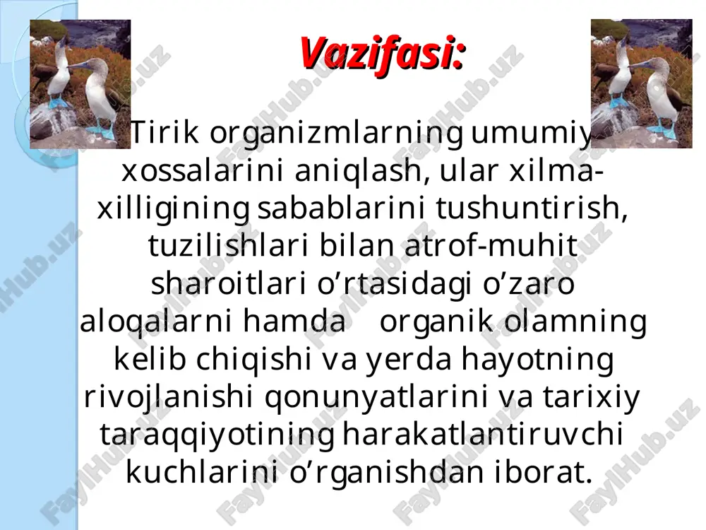 a umumiy funksiyani bajarishga birlashtirilgan, tuzilishi va hujayralararo moddalar (o‘xshash bo'lgan) hujayralarning yig'indisi. to’qima vazifasi va tuzilishi o’xshash bo’lgan to’qimalar yig’indisi. organ – aksariyat hayvonlarda organ – bir qancha tipdagi to'qimalarning strukturaviy funktsional birlashmasi. masalan inson terisi organ sifatida epiteliy va biriktiruvchi to'qimalarni o'z ichiga oladi, ular birgalikda bir qator funktsiyalarni bajaradilar. ular orasida eng muhimi – himoya. organ organizm. mustaqil yashashga qobiliyatli bo'lgan bir butun yaxlit bir hujayrali yoki ko'p hujayrali tirik sistema. ko'p hujayrali organizm – har xil funksiyalarni bajarishga ixtisoslashgan to'qima va organlar yig'indisidan hosil bo'lgan. organizm populyatsion-tur – organizmdan yuqori tartibli populyatsiyalar tizimini hosil qiladigan yashash joyi bir bo’lgan bir turga mansub organizmlar yig'indisi. populatsiya-tur biogeotsenoz – tuzilish darajasi turlicha murakkablikda bo'lgan va har xil turlarga mansub organizmlar yig'indisi. biogetsenozning asosiy funksiyasi – energiyani akkumilyatsiya qilish va qayta taqsimlash. biogeotsenoz biosfera tiriklik tuzilishining eng yuqori darajasi. unda tirik va notirik ajratiladi. barcha tirik organizmlarning yig'indisi. bu …