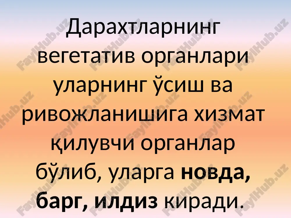 daraxtlarning vegetativ organlari morfologiyasi - Page 3