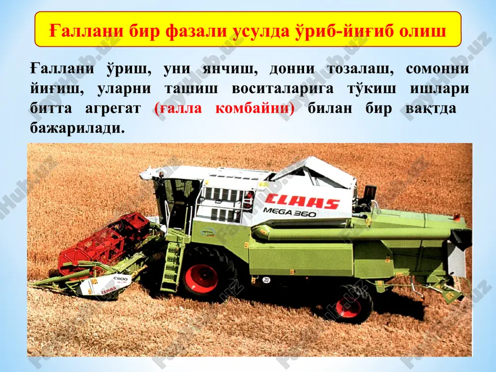tlarda kombayn sug'orish egatlari yo'nalishida xarakatlanishi lozim. o'rim–yig'im ishlarini otryad usulida kombaynlar va boshqa texnika vositalaridan foydalanish samaradorligini oshiradi. otryad usulida kombaynlarning salt xolatda bir joydan ikkinchi joyga qo'chib yurishi kamayadi, ish vaqtida yuzaga kelgan nuqsonlar va kamchiliklarni tezda bartaraf qilishga erishiladi. har bir otryadga kombayn, don tashish transport vositalari texnikalar, tashkiliy ishlar bo'yicha ishchi-xodimlar biriktiriladi hamda har bir otryadning o'rib-yig'ib oladigan maydonlari konturlar bo'yicha belgilanib, ularning xarakatlanish sxemalari ishlab chiqiladi. o'rim-yig'im davrida kombaynlarning ish unumdorligiga qarab ularni don tashish transport vositalari bilan etarli miqdorda ta'minlash kerak. shundagina o'rim-yig'im ishlari va donni qabul qilish punktlariga tashish ishlari uzluksiz amalga oshishi mumkin. kombaynning ishlash davrida o'rilayotgan dala qismini va kombaynning o'zini doimiy nazorat qilib borish talab etiladi. «keys» va «klass» kombaynlari zamonaviy bo'lib, ularning kabinasida ish jarayonini nazorat qiluvchi asboblar paneli mavjuddir. ular kombayn jatkasi, yanchgichi yoki don tozalash qismini biror bir nuqson yoki kamchilik paydo bo'lsa xamda don nobudgarchiligiga yo'l …