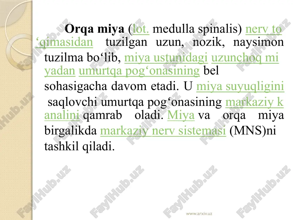 t boshli muskuli payiga, ya`ni tizza 20 kosasi tagiga sekin urilsa, tizza bo’g’imidan oyoqni yozish refleksini yuzaga keltiradigan sonning to’rt boshli muskuli qisqaradi. bu tajribani ikkinchi oyoqda ham qilib ko’rib, har ikkala oyoq reflekslari qiyoslanadi. bu reflekslar reflektor yoyining markaziy neyronlari orqa miyaning 3-4 bel segmentlari balandligida joylashgan. www.arxiv.uz www.arxiv.uz axillov refleksini hosil qilish. ishni bajarish tartibi. sinaluvchi kishi stulda tizzalab o’tiradi; har ikkala oyoq kaftlari esa osilib turadi. pay reflekslari tekshiriladigan bolg’acha bilan axillov payiga sekin urilsa, oyoq kafti to’piqdan yoziladi. bu hodisa boldirning uch boshli muskuli qisqarishi natijasida yuzaga keladi. buni ikkinchi oyoqda ham sinab ko’rilib, har ikkala oyoq reflekslari qiyoslanadi. bu refleks reflektor yoyining markaziy neyronlari orqa miyaning 1–2 dumg’aza segmentlari balandligida joylashgan. tajribada sinab ko’rilgan reflekslarga quyidagicha sxema shaklida www.arxiv.uz www.arxiv.uz www.arxiv.uz image2.jpeg image3.jpeg image4.jpeg image5.jpeg image6.jpeg image7.png image8.png image9.png image10.png image11.png /docprops/thumbnail.jpeg