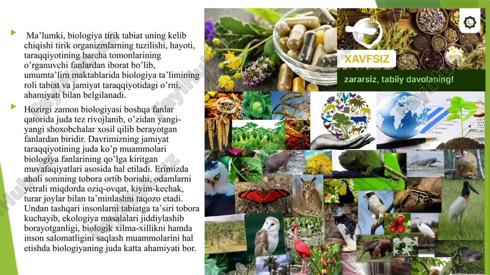 gan.1 yuqoridagi vazifalarga asoslanib umumiy ta’lim maktablari uchun biologiya predmetidan beriladigan bilimlarning minimal darajasini belgilaydigan xujjat-biologiya predmet dasturi tuziladi. dastur talablari bo’yicha darsliklar yaratiladi. darsliklar o’quvchilarni turli o’quv predmetlaridan o’rganadigon ilmiy bilimlarini, soha bo’yicha hosil qiladigon malakalarini paydo qilish va rivojlantirishga xizmat qiluvchi asosiy manba bo’lib xisoblanadi. darsliklar vositasida o’qituvchi o’quvchilarga ta’lim va tarbiya berish ishlarini amalga oshirib boradi. darsliklarga qo’yiladigon pedogogik talablarga: darslikda fanning ayni davrdagi yutuqlari qamrab olinib bu materiallar o’quvchilarning yoshlik xususiyatlariga mos xolda talqin etilgan bo’lishi; ma’naviy- marifiy masalalarni jamiyat talablari asosida tushuntirilganligi; mavzularni hayot bilan bog’langan holda berilganligi; nazariy masalalarni ishonarli misollar bilan izohlanganligi; o’quv materiallarini soddadan murakkabga tomon sistemali bayon etilganligi; o’quvchilarni ayni predmet bo’yicha mustaqil ishlari, kuzatish va tajribalar tashkil etish, o’tkazishga doir uslubiy yo’riq, ko’rsatmalar, savol va topshiriqlar berilganligi; o’quv materialini yaxshi o’zlashtirishga xizmat qiluvchi rangli rasmlar, jadvallar, ilovalar, spravka materiallarning mavjudligi; mavzularni o’quvchilarga sodda, ravon, obrazli badiiy tilda bayon etilganligi; tashqi …
