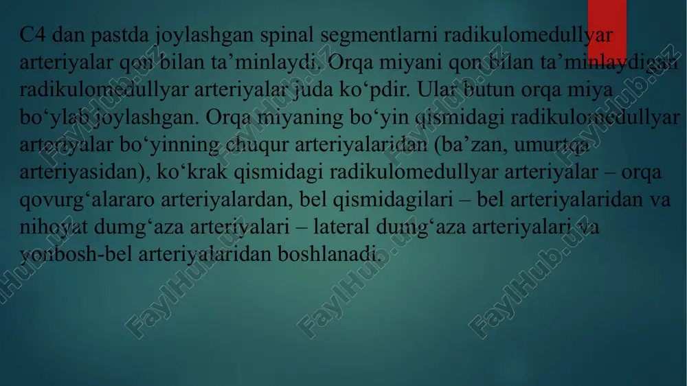 ingdek, suyak-tog‘ay to‘qimasi qalinlashsa va osteofitlar paydo bo‘lsa ham umurtqalararo teshik torayadi. radikulomedullyar arteriyalar o‘tadigan umurtqalararo teshikning torayishi, albatta, vaskulyar mieloishemiyaga olib keladi. bu sohadagi umurtqalarning har qanday harakatlari shu yerdan o‘tuvchi radikulomedullyar arteriyalarni siqib qo‘yadi. spinal reseptorlarning qo‘zg‘alishi radikulomedullar arteriyalarning reflektor spazmi va spinal qon aylanishning buzilishiga olib keladi. reflektor tarzda namoyon bo‘luvchi spinal ishemiyalar o‘tib ketuvchi xususiyatga ega. radikulomedullyar arteriyalar kompressiyasi pastki bel disklari tushishi sababli ham rivojlanadi. osteoxondroz va uning asoratlari sababli rivojlanadigan spinal qon aylanishning buzilishlariga «vertebrogen vaskulyar mieloishemiyalar» deb aytiladi. klinikasi. orqa miyada qon aylanishining surunkali yetishmovchiligi ko‘pincha lokal simptomlar bilan namoyon bo‘ladi. kasallik klinikasi orqa miyaning qaysi sohasida qanday arteriyaning zararlanganiga bog‘liq. orqa miyada qon aylanishining quyidagi buzilishlari farq qilinadi: 1) spinal qon aylanishning o‘tib ketuvchi buzilishlari; 2) spinal insultlar (ishemik va gemorragik); 3) spinal qon aylanishning surunkali buzilishlari. spinal qon aylanishning o‘tib ketuvchi buzilishlarida o‘tkir spinal ishemiya sababli paydo bo‘lgan nevrologik simptomlar bir …