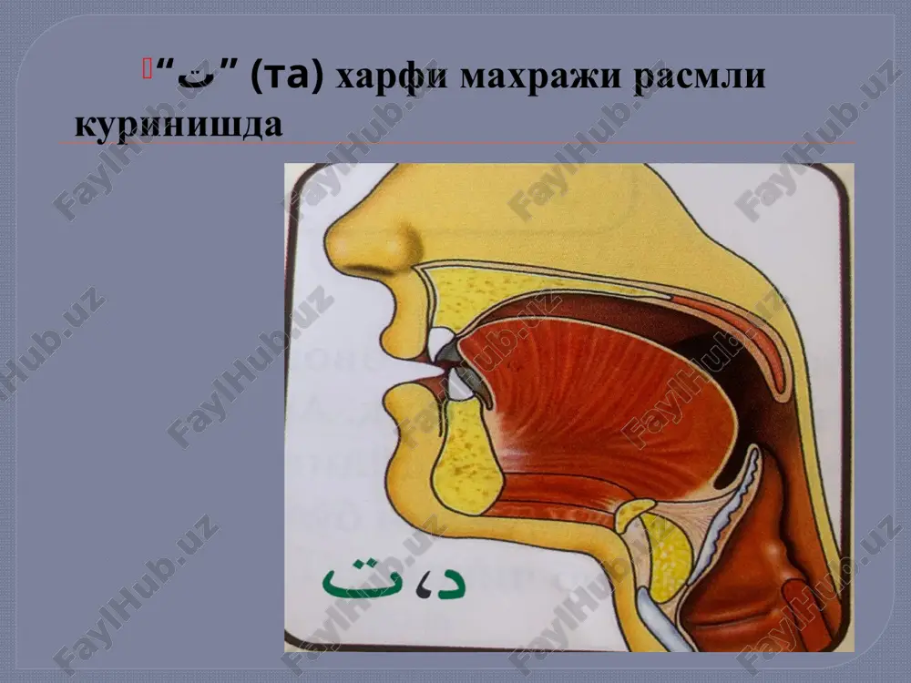 "qur'oni karim va tajvid" o'quv kursi - Page 3