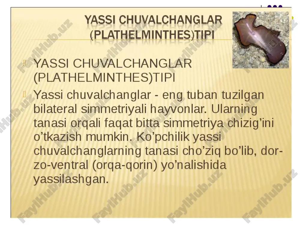 yassi chuvalchanglar tipining tafsiloti - Page 3