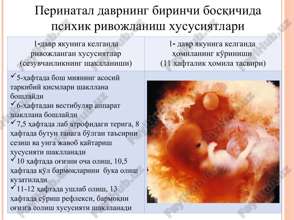 vri tugayotganini ko'rsatadi ilk bolalik davrida psixik rivojlanishning ayrim muhim xususiyatlari manipulyativ-predmetli faoliyat, ya'ni narsa-buyumlar bilan har xil amallar bajarishga qaratilgan harakatlar etakchi faoliyatga aylanadi narsa-buyumlar bilan bajariladigan tartibsiz harakatlar o'rniga ularni o'z vazifasiga ko'ra ishlatish xususiyati shakllanadi 2-yilning oxiriga kelib, bola bir necha hafta oldiin ko'rgan narsasini eslay olishga qodir bo'ladi, unda solishtirish, umumlashtirish kabi tafakkur aperatsiyalari rivoj topadi nutqning rivojlanishi uchun senzitiv davr yuzaga keladi (ayniqsa 1.5 yoshdan keyin bola muloqotda tashabbuskorligi bilan ajrala boshlaydi) o'zini o'zi anglash rivojlanadi (taxminan 1.5 da bolada o'z jinsi haqidagi ilk tasavvurlar shakllanadi, 18 oyda birovning yordamisiz ko'zguda o'z aksini taniy boshlaydi, 2 yoshda egalik hissi yuzaga keladi, taxminan 3 yoshda “men” tushunchasi o'zlashtiriladi ilk bolalik davridagi psixologik yangilik bola tomonidan o'zining atrofidagi laridan ajralishi o'zining harakat sub'ekti sifatida anglashi boshqa kishilar bilan taqqoslashi bola uchun vaziyatning mazmuniy markazi -predmet bola harakatidagi o'zgarishlar vaziyat markazida so'z yuzaga keladi vaziyat markazi sifatida kattalar …