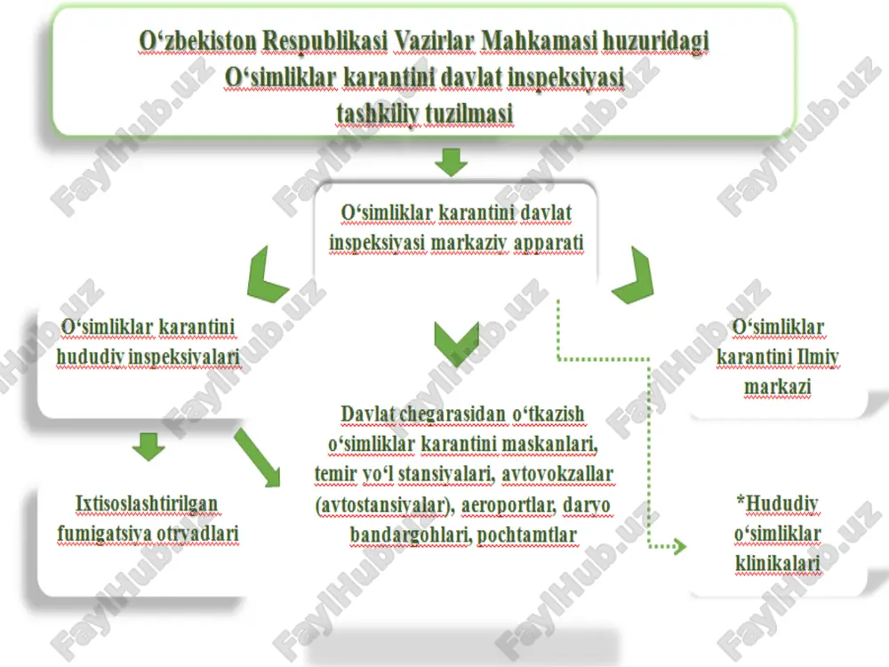 o'simliklar karantini mavzusi - Page 3