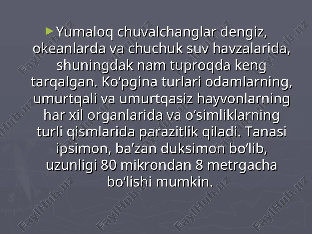 to’garak chuvalchanglar - Page 3