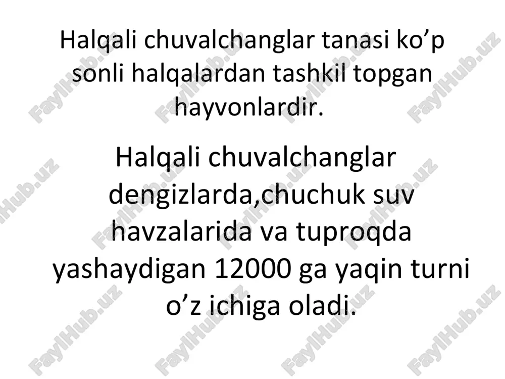 halqali chuvalchanglar - Page 3