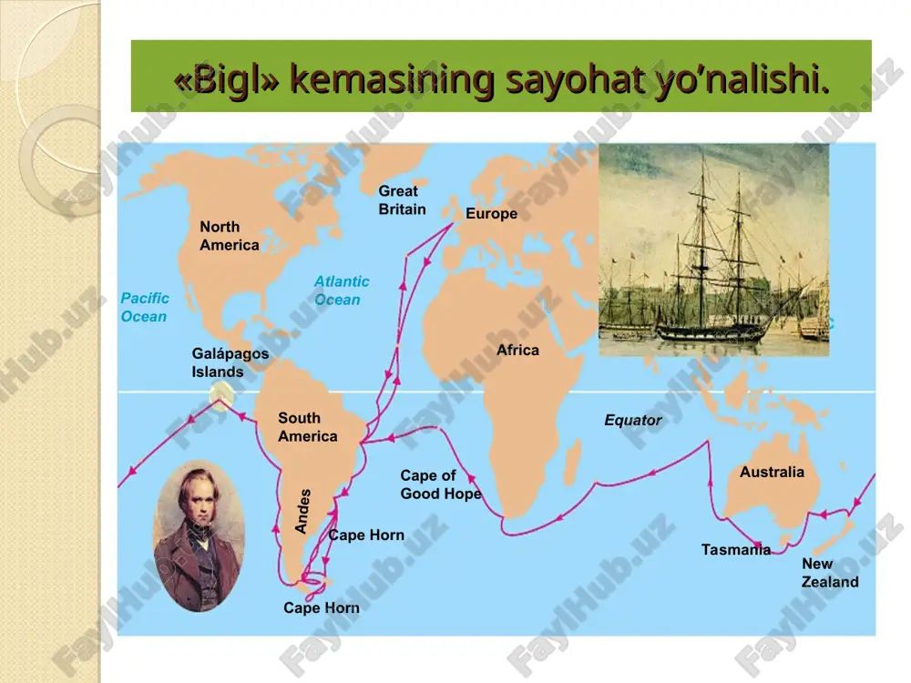 aniqladi. darvinning uqtirishicha, qadimgi davrlarda bu ikki qit’a yagona bo‘lgan. keyinchalik meksika tog‘lari tufayli ikkiga bo‘lingan.natijada ularning hayvonot va o‘simlik olamida farqlar paydo bo‘lgan. darvinni ayniqsa janubiy amerikaning g‘arbiy qirg‘og‘idan 900 km uzoqlikda-gi galapagoss arxipelagining hayvonot va o‘simliklar olami hayratga soladi. u yerda qushlar, sudralib yuruvchilar ko‘p uchraydi. chumchuqsimonlar turkumiga kiruvchi vyuroklar, sudraluvchilardan toshbaqa-larning har bir oroldagi turlari o‘ziga xos tuzilishga ega. janubiy amerikaning qirilib ketgan va hozirgi vaqtda yashayotgan hayvonlari: qazilma holdagi; 1- zirhli (wliptodon agper) va (3) yalqov (mylodon robustus); hozirgi vaqtdagi (2) zirhli (tabug noevemcinctum) va (pradipus tridactulur) galapagoss arxipelagining vyuroklari. geospiza magnistris; g. fortis g. parvula certhidea oliraceo galapagoss tog‘ vyuroklari. ularning tumshuqlaridagi farq. evolyutsion nazariya ustida ishlash turlarning o`zgarishi to`g`risidagi dastlabki g`oya darvinda “bigl” kemasidagi safar davridayoq paydo bo`ladi. lekin bu jarayon sabablarini aniqlash masalasi hali ko`p jihatdan muammo edi. darvin angiliyaga qaytgach, xonaki va tabiiy sharoitdagi hayvon, o`simliklarning o`zgaruvchanligiga doir ma’lumotlarni ko`plab yig`a boshladi …