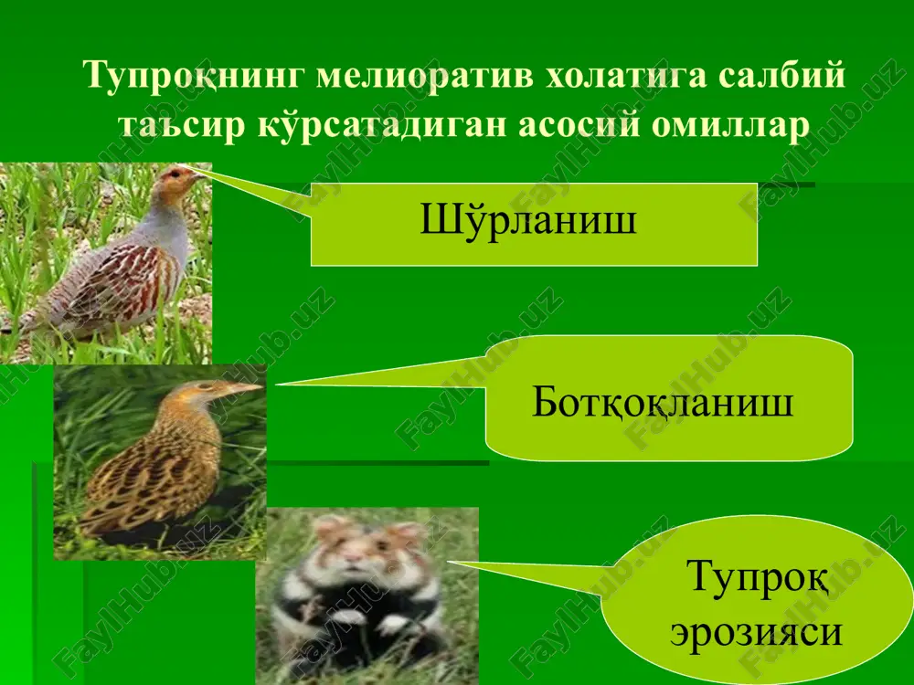 'lganda 12 t tuz to'planadi. me'yoridan ortiqcha mineral o'g'itlar ta'sirida 1 gektar paxta maydoniga 240-250 kg azotli (sof holda) o'g'it solinganda undan faqat 30-40 % dan 120-130 kg fosfor berilganda esa 15-20% dan g'o'za foydalanadi. qolgan qismi esa tuproqda nitrat (no3) va fosfat tuzlari sifatida to'planib qoladi. ular suv ta'sirida asta-sekin erib sizot suvlariga qo'shiladi va ularni ifloslantiradi. erga fosforli o'g'itlar berilganda faqat fosfat tuzlari sifatida to'planmasdan balki «og'ir metallar» ni ham vujudga keltiradi. azotli o'g'itlar masalan suv tarkibida nitrat azot miqdori 40-50 mg/l bo'lsa zararlidir. nitrat erning chuqur qatlamlarigacha (12 m. gacha) suv bilan etib borishi va to'planishi kuzatilgan. 1 gektar paxta maydonining 12 m. chuqurligida 900-1200 kg gacha nitrat to'planishi aniqlangan. azotli o'g'itlar masalan suv tarkibida nitrat azot miqdori 40-50 mg/l bo'lsa zararlidir. nitrat erning chuqur qatlamlarigacha (12 m. gacha) suv bilan etib borishi va to'planishi kuzatilgan. 1 gektar paxta maydonining 12 m. chuqurligida 900-1200 kg gacha nitrat …