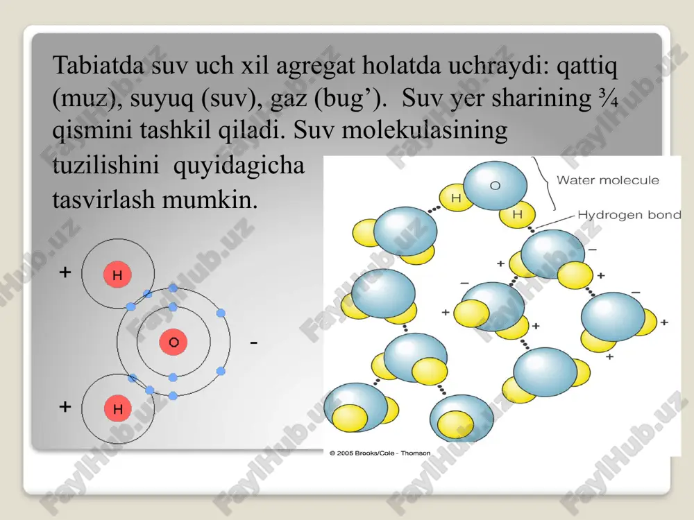 ligi muhim ahamiyatga ega. barcha dispers sistema zarrachalarining katta kichikligiga qarab uch sinfga bo‘linadi. dispers faza zarrachalarining diametrlari 100 nm dan katta bo‘lgan dispers sistemalar dag‘al dispers sistemalar deb ataladi. bular qatoriga suspenziya (qattiq moddaning suyuqlikda tarqalgani), emulsiya (suyuqlikning suyuqlikda tarqalgani) va ko‘piklar (gazsimon moddaning suyuqlikda tarqalgani) kiradi. dispers sistema zarrachalarining o‘lchami 1nm dan 100 nm gacha bo‘lgan sistemalar kolloid dispers sitemalar deyiladi. dispers faza zarrachalarining o‘lchami 1nm dan kichik bo‘lgan sistemalar chin eritmalar deyiladi. dag‘al dispers sistema zarrachalarini mikroskop bilan ko‘rish mumkin, lekin kolloid sistema zarrachalarini odatdagi mikroskop bilan ko‘rib bo‘lmaydi. ularni faqat ultramikroskop bilan ko‘rish mumkin. ikki yoki bir necha moddadan iborat bo‘lgan bir jinsli (gomogen) sistemalar eritmalar deb ataladi. eritmalar suyuq, qattiq va gaz holatda bo‘lishi mumkin. masalan qandning eritmasi, spirtning suvdagi eritmasi suyuq eritmalar jumlasiga kiradi. lekin mis va ruxdan, mis va qlaydan iborat qotishma qattiq eritmalardir. havo esa kislorod, azot, inert gazlar va karbonat angidridning …