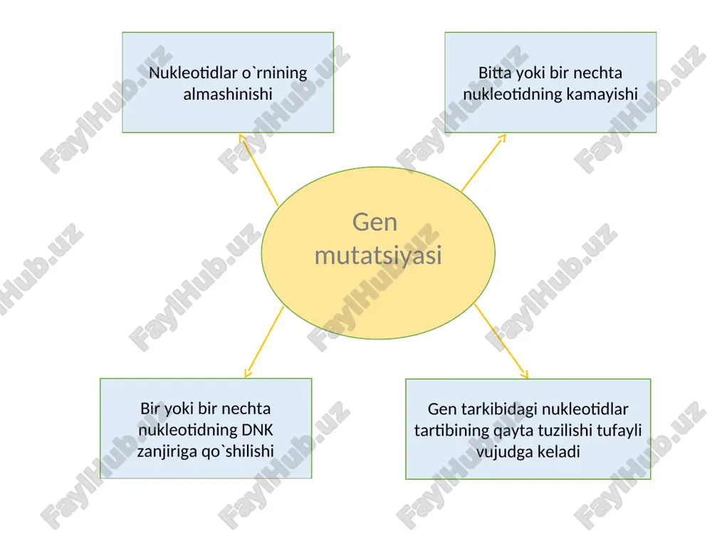 onining davriy o`zgarishi qisqa hayot kechiruvchi organizmlar sonining davriy o`zgarishi ko`pgina hasharotlar, bir yillik o`simliklar, zamburug`lar va mikroorganizmlarga xos. bu hodisa ayniqsa mikroorganizmlarda yaqqol namoyon bo`ladi. shamol-lash bilan bog`liq kasalliklar bahor va kuz oylarida ko`p tarqaladi. odatda, ular yuqori nafas yo`llarida infektsiya ko`zg`atuvchi mikroorganizmlar hayot to`lqinining natijasi hisoblanadi. o`simlik va hayvonlar sonining faslga qarab o`zgarishi populyatsiyadagi turli yosh, jinsdagi gruppalarga har xil ta’sir etadi. faslning o`zgarishi natijasida ko`pincha yosh organizmlar ko`plab nobud bo`ladi ya’ni populyatsiya uchun g`anim organizmlar uchun yirtqich organizmlar iskanjasining susayishiga yoki yirtqich hayvonlar populyatsiyasi uchun oziq resurslarining ko`payishiga bog`liq. odatda, organizmlarning son jihatdan o`zgarishi biogeosenozdagi 1—2 ta turga emas, balki ko`p turlarga xos bo`lib, ular biogeosenozning tamomila o`zgarishiga olib keladi. populyatsiyadagi organizmlar sonining epizodik o`zgarishi populyatsiyadagi organizmlar sonining epizodik o`zgarishi har xil omillarga bog`liq. ular, birinchi navbatda, tur yoki populyatsiyadagi organizmlar uchun qulay bo`lgan oziq zanjiriga, ya’ni populyatsiya uchun g`anim organizmlar uchun yirtqich organizmlar iskanjasining susayishiga yoki …