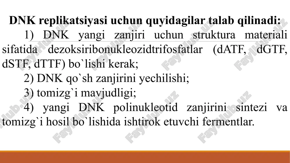 arini hosil bo`lishida, nukleazali faollik esa fosfodiefir bog`larining gidrolizida qatnashadi. dnk polimeraza i replikatsiyadagi rnk-tomizg`ini parchalab uning o`rnida dnk ning komplementar qismini sintezlaydi. dnk-polimeraza ii juda past polimerazali faollikka ega, uning replikatsiyadagi vazifasi aniqlanmagan. dnkpolimeraza iii replikatsiyaning asosiy fermenti bo`lib, dnk qo`sh zanjirining ajralgan zanjirida yangi dnk ning komplementar qismini 5¹→ 3¹ yo`nalishda sintezlaydi . 2. ― tomizg`i dnk ga bog`liq (to’be bo`lgan) rnk polimeraza – odatda transkriptsiyada ishtirok etadigan fermentlar – rnk-polimerazalarning alohida varianti bo`lib, replikativ vilkadagi dnk ning komplementar qismida rnk ―tomizg`i (― praymer) hosil qiladi. rnk-tomizg`ining sintezi 5¹ oxiridan 3¹ oxiriga qarab boradi. nukleotidlarni rnk da joylashish tartibini dnk – matritsa belgilab beradi, nukleotidlarning 5¹→ 3¹ fosfodiefir bog`lari yordamida bog`lanishi rnk-polimeraza ishtirokida amalga oshadi. dnk ning replikatsiya mexanizmi dnk replikatsiyasi uchun quyidagilar talab qilinadi: 1 ) dnk yangi zanjiri uchun struktura materiali sifatida dezoksiribonukleozidtrifosfatlar (datf, dgtf, dstf, dttf) bo`lishi kerak; 2 ) dnk qo`sh zanjirini yechilishi; 3 …