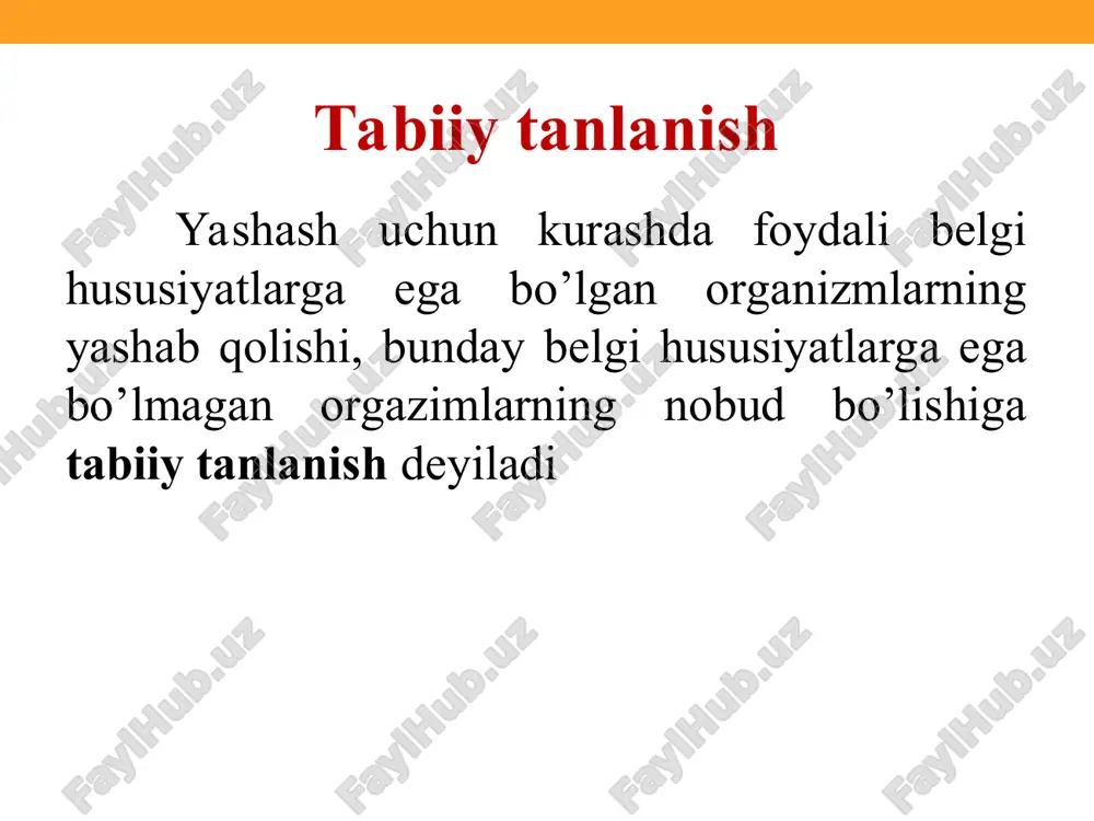 nuqtali tugmacha qo’ng’izida mavsumiy polimorfizim hodisasini ko’rish mumkin. ularning qoramtir va qo’ng’ir rangdagi individlar mavjud. qizg’ish formalari qishda haroratning pasayishi natijasida kam nobud bo’ladi, yozda kamroq nasl beradi. qoramtir formalari qishda ko’plab nobud bo’ladi, yozda ko’plab nasl beradi.