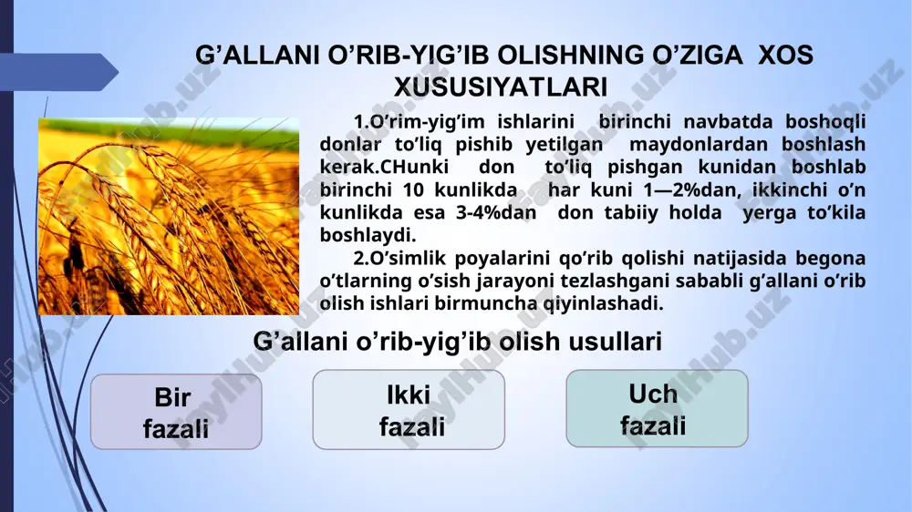 g’alla o’rish yig’ishva don tozalash mashinalari - Page 3