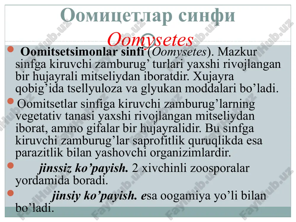. albugolar-albuginaceae bu oilaga kiruvchi zamburug‘ turlari ham haqiqiy parazitlardir. ular o‘simliklarda oqarish ya’ni oq zang kasalligini qo‘zg‘atadi. ularning mitseliylari o‘simlik tanasi ichida rivojlanib, konidiyabandlari o‘simlik epidermisini yirtib chiqadi va mayda oq yostiqchalar hosil qiladi. zigomitsetlar sinfi. zygomysetes reja: 1.zigomitsetlar sinfining tavsifi. 2. sistematikasi, tartiblari, asosiy oila va turkumlari. zigomitsetslar sinfi (zygomysetes). mazkur sinf yaxshi rivojlangan, hujayrasiz yoki etilgan vaqtida mitseliy hujayralariga bo’linuvchi zamburug’ turlarini o’z ichiga oladi. jinssiz ko’payishi harakatsiz (xivchinsiz) sporanggiospora yoki konidiyali bo’ladi, jinsiy ko’payishi – zigogamiya tipida bo’lib, ikkita bir xil harakatsiz, ammo jinslari har xil bo’lgan gametalarni (mitseliy qismlarini) qo’shilishi natijasida zigosporalar hosil qiladi. zigomitsetlar sinfi 2 ta tartibga bo’linadi: jinssiz ko‘payishi harakasiz (xivchinsiz) sporanggiospora yoki konidiyali bo‘ladi zamburug‘larining oosporangiylari (a) va zoosporalari (b); 2-rhizopus nigrisans zamburug‘ining sporangiy bandi (a) va sporangiylari (b); 3-sporanggiy (a), ustunchasi (b); 4-oyedosephalum turkumi zamburug‘ining konidiyabandi (a) va konidiyalari (b). jinsiy ko‘payishi – zigogamiya tipida bo‘lib, ikkita bir xil harakasiz, …