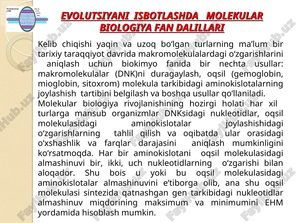 otadan 18 xilining genetik kodi ikkidan oltigacha ekanligi bundan dalolat beradi gen tarkibidagi har bir nukleotid mutatsiyaga uchrashi mumkin. uni nuqtali mutatsiya deyiladi. ba’zi nukleotidlarning ta’sirga bo‘lgan munosabati bir xil emas. ayrim nukleotid juftlarida bir, ikki mutatsiya ro‘y bergan holda, boshqa nukleotid juftlarida yuz martalab mutatsiya kuzatiladi. keyingilari «qaynoq» nuqtalar deb ataladi. mutatsiya tripletning qaysi nukleotidini o‘zgartirayotgani nihoyatda muhimdir. masalan, fenilalanin uuu kodoniga ega. agar kodondagi uchinchi uratsil adenin yoki guanin bilan almashinsa, u holda kodon mavqeyi o‘zgarib, uua uug kodonlari polipeptid bog‘ tarkibiga leytsinni kiritadi. bu esa oqsil tuzilishi va funksiyasining o‘zgarishiga olib keladi. odatda sistematik jihatdan bir-biriga yaqin turlarda mutatsiyalar soni kam, uzoq turlarda esa aksincha, ko‘p bo‘ladi. shu sababli, masalan, odam dnk molekula tuzilishi makaka maymuni dnk tuzilishiga 66% o‘xshash bo‘lsa, ho‘kiznikiga 28%, kalamushnikiga 17%, lasos balig‘inikiga 8%, ichak tayoqchasi bakteriyasiga atigi 2% o‘xshashligi aniqlangan. genlarning evolutsiya tezligi biologik progeress bir turga mansub individlar soni orta borsa; …