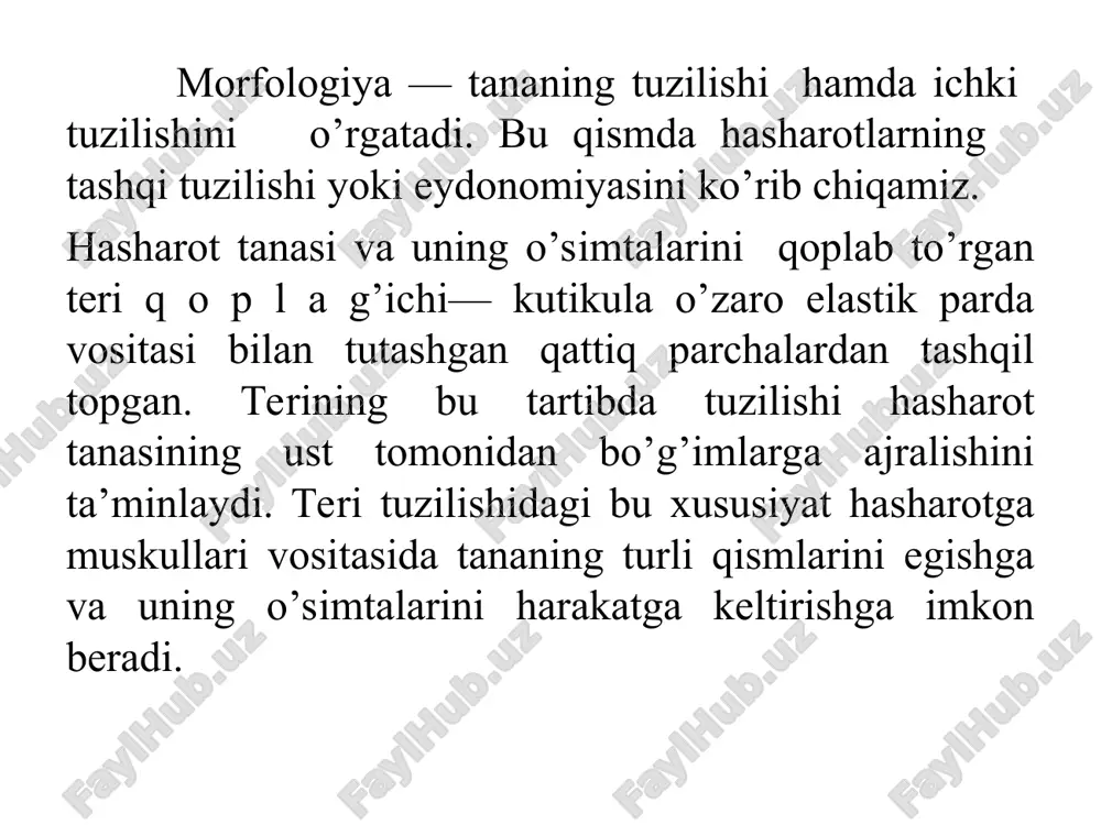 i e’tiboringiz uchun rahmat