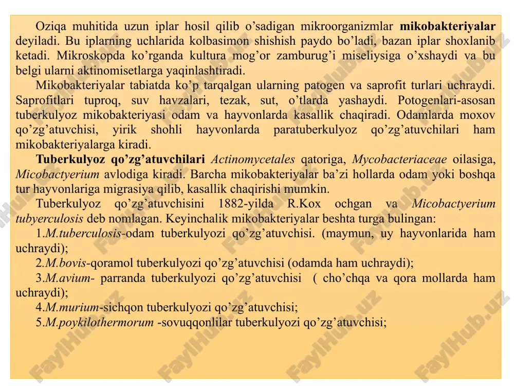 olovda fiksasiya qilingan surtmaga filtr qog’ozi ustidan karbolli sil fuksini bo’yog’i quyiladi. bug’ hosil bo’lguncha qizdiriladi, 2- 3 minutdan keyin surtma sovugach qog’oz olib tashlanib suv bilan yuviladi; 2.5 -10 % li sulfat kislotasi yoki 3 % xlorid kislotasi bilan 3-5 sekund davomida rangsizlantiriladi. 3.surtma yaxshilab suv bilan yuviladi. 4.96 % li spirt bilan 3-5 sekund qo’shimcha rangsizlantiriladi. 5.yana suv bilan yuviladi. 6. 3-5 minut leffler metilen ko’ki yoki 1:1000 malaxit ko’ki bilan bo’yaladi. 7. preparat suvda yuvilib, havoda quritiladi. mikroskopiya-tuberkulyoz tayoqchalari qizil rangda bo’ladi. qobig’ining gidrofobligi tufayli mikobakteriyalarni gram usulida bo’yash uchun o’zgartirilgan gramm-mux usulidan foydalaniladi. surtmalar karbolli metilviolet bilan bug’ hosil bo’lguncha qizdiriladi. bo’yoqni to’kib tashlab, ustiga lyugol eritmasi quyiladi. keyin uni navbati bilan rangsizlantiriladi- 5% azot kislotasi, 3% li xlorid kislota, aseton va alkogol aralashmasi bilan. nihoyat, safranin yoki suyultirilgan fuksin bilan qo’shimcha bo’yaladi. mikroskopda qizil fonda ko’k mikobakteriyalar ko’rinadi.hozirgi vaqtda immunofluoressent usuli qo’llaniladi. mycobacterium tuberculosisning sil …