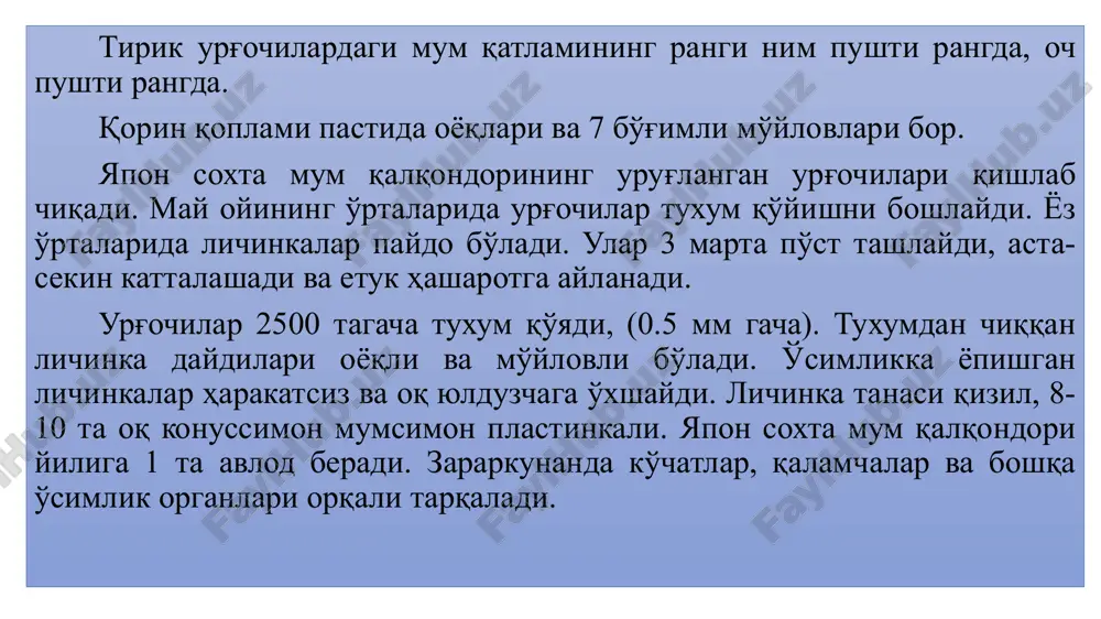 isqargan holda. panjalaridagi 4 ta barmog'i bir xil. urg'ochilarini panjalaridagi tishchalari orqaga kuchli egilgan. panjasining birinchi bo'g'ini qolgan 3 ta bo'g'inlaridan uzunroq. tuxumi ellipsimon shaklda, qalaysimon tovlanuvchi, 1mm diametrda. yangi paydo bo'lgan lichinkaning uzunligi 1,5 mm bo'lsa, katta yoshdagilari 25 mm gacha etadi. lichinkaning sistematik belgisi-qornining anal segmenti tomonida v raqamiga o'xshagan belgisi bor. g'umbagi och-jigar rangda, uzunligi 14 mm gacha, beshikchada bo'ladi. 2-3 yoshli lichinkalar tuproqning ichki qatlamida qishlab chiqadi. kuzda ular erning 20-40 sm chuqurligiga kirib oziqlanishdan to'xtaydi. bahorda tuproqning yuza qismiga ko'tarilib o'simliklarni ildizi bilan oziqlanishini davom ettiradi. yapon qo'ng'izi:1. qo'ng'izi. 2.tuxumi. 3. qurti. 4.g'umbagi. 5.qo'ng'izlari zararlayotgan olma bargi va mevasi oziqlanib bo'lgandan so'ng lichinkalar «beshikchalar» yasaydi va uning ichida g'umbakka aylanadi. 10-20 kundan keyin g'umbagining rivojlanishi to'xtaydi, g'umbak qobig'i yorilib qo'ng'iz paydo bo'ladi, lekin ko'ng'iz bir necha kun beshikchaning ichida qoladi. kunashir orolida qo'ng'izlarning uchishi iyul oyining oxirida boshlanadi. aqsh da avgust-sentyabr oylarida uchadi. kunashir oroli …