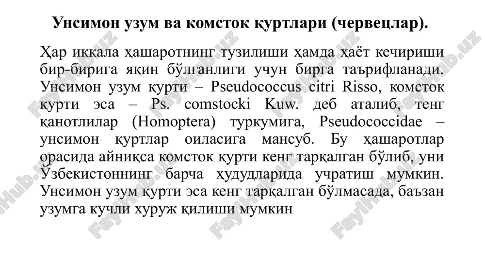 a rohd. uning lichinkalari komstok qurtining ko'plab qismini qiradi (yaxontov, 1963). 3. kimyoviy kurash sifatida turli sintetik piretroid hamda fosfororganik insektitsidlar qo'llaniladi. toklarga mavsum mobaynida 2-3 marta ishlov berish lozim. oxirgi ishlov uzum etilishidan 30 kun ilgari tugallanishi shart. tok kanasi – eriophyes vitis nal. to'rt oyoqli kanalar – eriophyoidea reibev bosh oilasining, eriophyidae oilasiga mansub. tarqalishi. dunyo bo'yicha keng tarqalgan zararkunanda. o'zbekistonning barcha hududlarida uchraydi. ta'rifi. tok kanasi ko'zga ko'rinmaydigan darajada mayda mavjudot (0,14-0,16 mm). uni faqat binokulyar yoki 15-20 marta kattalashtirib ko'rsatadigan lupalar yordamida ko'rish mumkin. tok kanasining tanasi cho'ziq, 2 juft oyoqqa ega, tana oxirida uzun qillari bor. tokda kana borligini barglarda g'uddalar mavjudligidan bilish mumkin. g'uddalar bargning ustki tomonida bo'ladi, ost tomonida esa chuqurchalar mavjud bo'lib, ularda oldin oq-kumush keyinchalik qizg'ish-qo'ng'ir tus oladigan hujayra o'simtalari qoplanib olgan bo'ladi uzum kanasi (g. vanek va b. ma'lumoti bo'yicha): 1-kananing umumiy ko'ri-nishi; 2-zararlangan uzum barglari. hayot kechirishi. tok kanasi …
