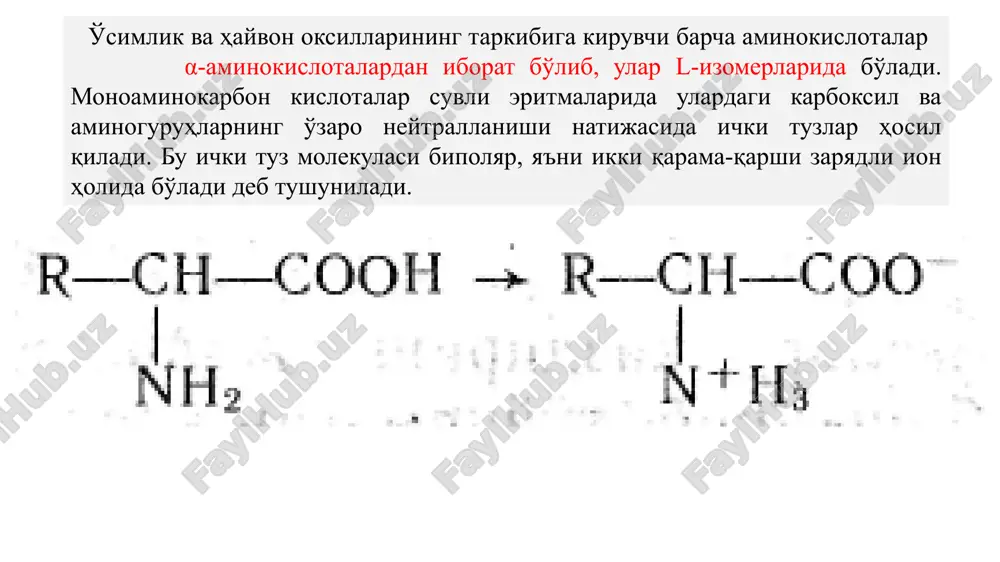 i, organik erituvchilarda deyarli erimaydi, u suyultirilgan mineral kislota va ishqorlarda, ammiak eritmasida eriydi. glitsin glicinum aminosirka kislota h2n--ch2--cooh c2h5n02 m. m. 147,14 grekcha glikos-shirin so'zidan olingan.glitsin shirin mazali, rangsiz kristall, suvda yaxshi eriydi eriydi, spirtda, efirda va atsetonda erimaydi., preparat 232-236°s haroratda suyuqlanadi. 1820 yilda jelatindan gidroliz qilingan. tarkibida asimmetrik uglerod atomi saqlamaganligi uchun optik faol emas. aminokislotalarning barchasiga xos va umumiy reaktsiya sifati ningidrin bilan ko'k-binafsha rangli birikma hosil qiladi. ningidrin reaktsiyasini amalga oshirish uchun aminokislotalarning suvdagi eritmasiga ningidrin (i) eritmdsi qo'shib isitiladi. bunda reaktsiya natijasida avval diketoksigidrinden (ii), ammiak va aldegid (ikki asosli aminokislotalar, aldegidokislotalar) hosil bo'ladi. keyinchalik hosil bo'lgan diketoksigidrinden, ammiak va ningidrinning reaktsiyaga kirishmay qolgan qismi tezlik bilan o'zaro reaktsiyaga kirishib, ko'k-binafsha rangli diketogidrindenketogidrinaminning ammoniyli tuzini (iii) hosil qiladi. reaktsiyani glutamin kislota misolida qo'yidagi kimyoviy tenglama bo'yicha ifodalash mumkin: reaktsiya bo'yicha aminalonning chinligini yupqa qatlam xromatografiya usulida aniqlash tavsiya qilinadi. buning uchun avval aminalonni «silufol» …