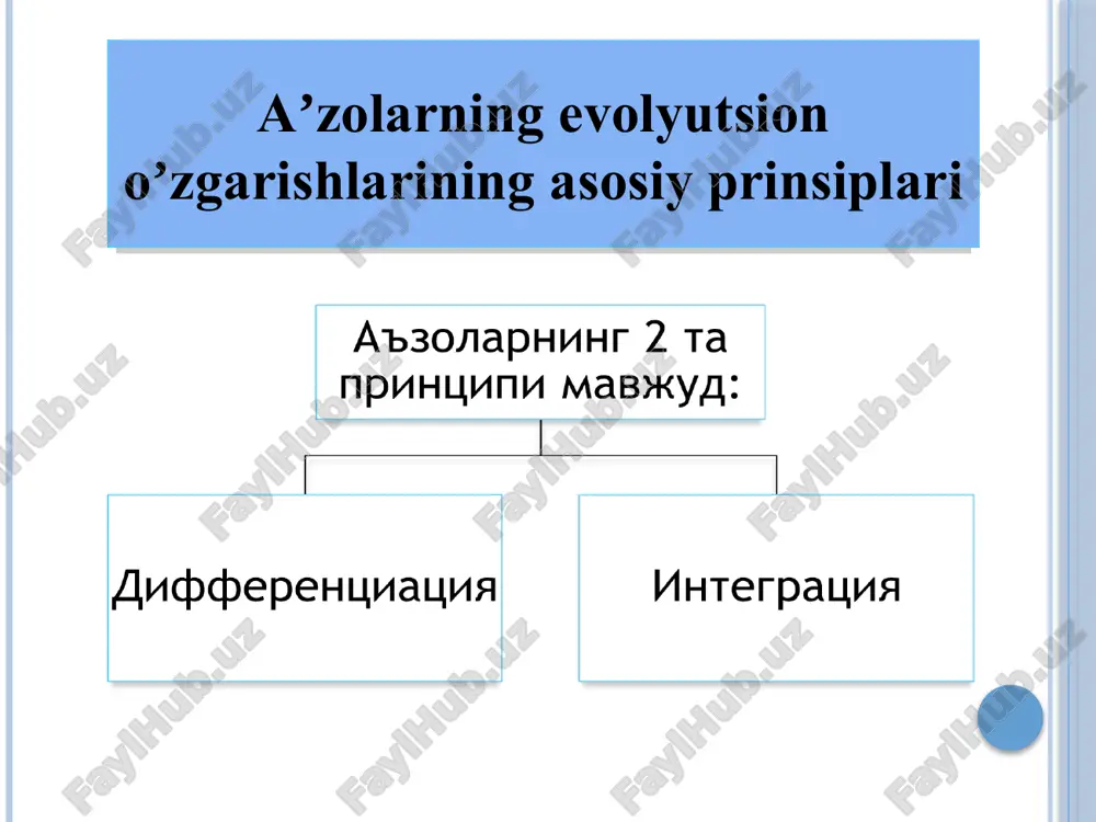 l.rels ppt/slides/_rels/slide53.xml.rels ppt/slides/_rels/slide54.xml.rels ppt/slides/_rels/slide55.xml.rels ppt/slides/_rels/slide56.xml.rels ppt/slides/_rels/slide57.xml.rels ppt/diagrams/data9.xml ppt/slides/_rels/slide58.xml.rels ppt/slides/_rels/slide59.xml.rels ppt/slides/_rels/slide60.xml.rels ppt/slides/_rels/slide61.xml.rels ppt/slides/_rels/slide62.xml.rels ppt/slides/_rels/slide63.xml.rels ppt/slides/_rels/slide64.xml.rels ppt/slides/_rels/slide65.xml.rels ppt/slides/_rels/slide66.xml.rels ppt/slides/_rels/slide67.xml.rels ppt/slides/_rels/slide68.xml.rels ppt/slides/_rels/slide69.xml.rels ppt/slides/_rels/slide70.xml.rels ppt/diagrams/data10.xml ppt/slides/_rels/slide71.xml.rels ppt/slides/_rels/slide72.xml.rels ppt/slides/_rels/slide73.xml.rels ppt/slides/_rels/slide74.xml.rels ppt/slides/_rels/slide75.xml.rels ppt/diagrams/data11.xml ppt/slides/_rels/slide76.xml.rels ppt/slides/_rels/slide77.xml.rels ppt/slides/_rels/slide78.xml.rels ppt/slidemasters/slidemaster1.xml ppt/slidelayouts/_rels/slidelayout3.xml.rels ppt/slidelayouts/_rels/slidelayout2.xml.rels ppt/slidelayouts/slidelayout11.xml ppt/slidemasters/_rels/slidemaster1.xml.rels ppt/slidelayouts/_rels/slidelayout1.xml.rels ppt/slidelayouts/slidelayout1.xml ppt/slidelayouts/slidelayout2.xml ppt/slidelayouts/slidelayout3.xml ppt/slidelayouts/slidelayout4.xml ppt/slidelayouts/slidelayout5.xml ppt/slidelayouts/slidelayout6.xml ppt/slidelayouts/slidelayout7.xml ppt/slidelayouts/slidelayout8.xml ppt/slidelayouts/slidelayout9.xml ppt/slidelayouts/slidelayout10.xml ppt/slidelayouts/_rels/slidelayout4.xml.rels ppt/slidelayouts/_rels/slidelayout5.xml.rels ppt/slidelayouts/_rels/slidelayout6.xml.rels ppt/slidelayouts/_rels/slidelayout7.xml.rels ppt/slidelayouts/_rels/slidelayout8.xml.rels ppt/slidelayouts/_rels/slidelayout9.xml.rels ppt/slidelayouts/_rels/slidelayout10.xml.rels ppt/slidelayouts/_rels/slidelayout11.xml.rels ppt/diagrams/layout2.xml ppt/diagrams/quickstyle2.xml ppt/diagrams/colors2.xml ppt/dia