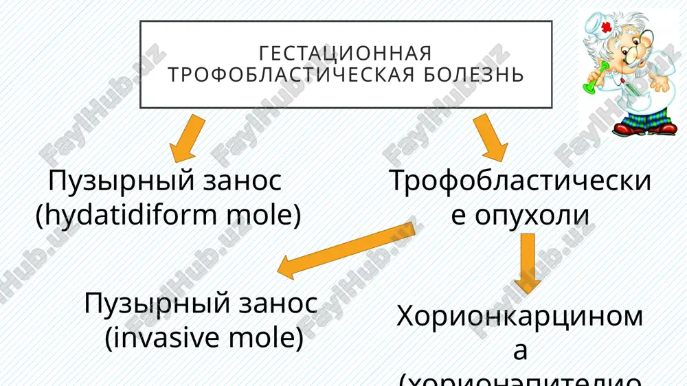 gestatsionnaya trofoblasticheskaya bolezn - Page 3