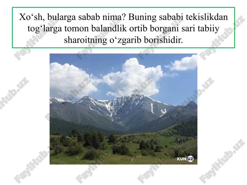landlik mintaqalari almashinib keladi. o‘zbekiston tog‘larida o‘simliklarning balandlik mintaqalanishini k. z. zokirov o‘rganib, to‘rtta balandlik mintaqasini ajratgan va mahalliy atamalardan foydalanib quyidagicha nomlaydi: cho‘l, adir, tog‘, yaylov. cho‘l balandlik mintaqasi respublikamizning mutlaq balandligi 400-500 m gacha bo‘lgan hududlarini o‘z ichiga oladi. adir balandlik mintaqasi dengiz sathidan 400–500 m dan 1000–1200 m gacha, respublika janubida janubiy ekspozitsiyada 1600 m gacha bo‘lgan tog‘ oldi hududlarini o‘z ichiga oladi. tog‘ balandlik mintaqasi tog‘larning 1000–1200 m, ayrim joylarda 1600 m dan 2700–2800 m gacha bo‘lgan balandliklarini, yaylov balandlik mintaqasi esa 2700–2800 m dan boshlanib, doimiy qor va muzlargacha, ya’ni qor chizig‘igacha davom etadi. k. z. zokirov doimiy qor va muzliklarni alohida mintaqa sifatida ajratmaydi. sababi, u yerlarda o‘simliklar o‘smaydi. o‘simliklar tarqalishi qor chizig‘i bilan chegaralanadi. shuning uchun qor chizig‘idan baland yerlarni glyatsial-nival zonasiga birlashtiradi. bu mintaqa piskom daryo havzasida 3600m, qashqadaryo havzasida 3820 m, to‘polongdaryo havzasida 3860 m, sangardak havzasida 3850 m balandlikdan boshlanadi. …