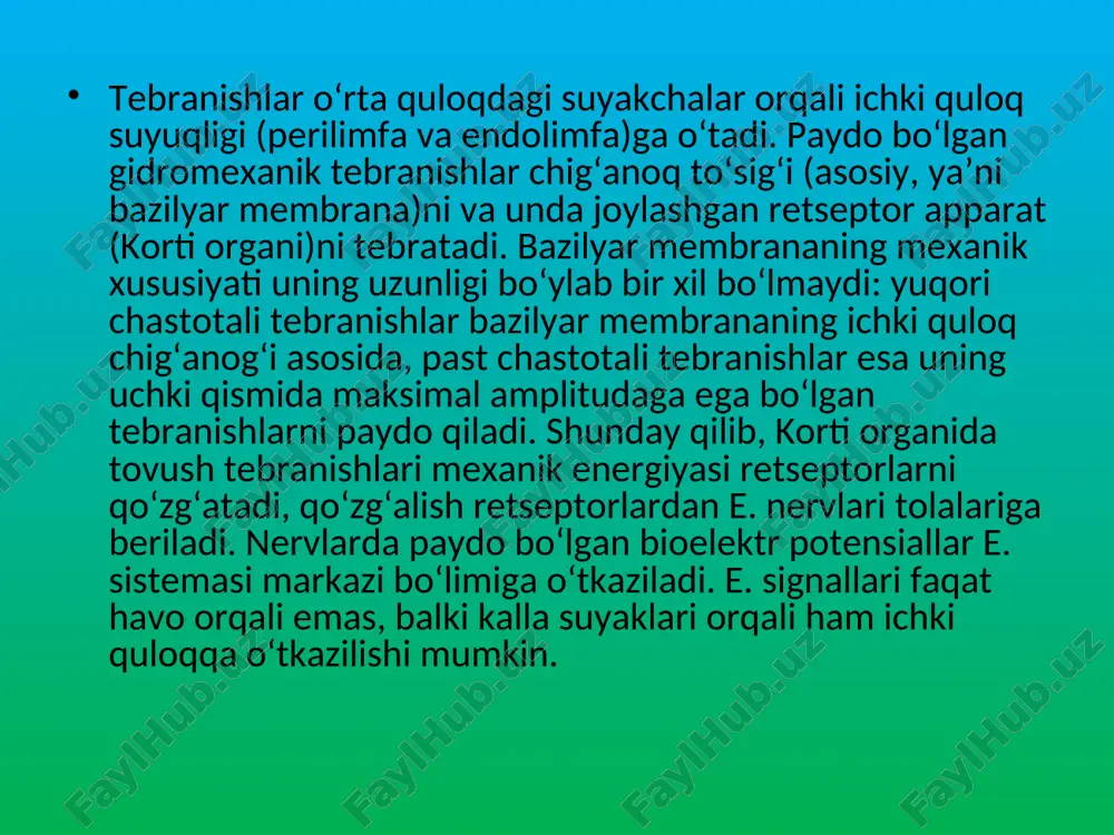 ga beriladi. shunda nog’ora parda tovush to’lqinlariga mos ravishda tebrana boshlaydi. nog’ora pardaning tebranishlari bolg’acha, yasniqsimon suyakcha va sandon orqali uzangiga uzatiladi. bolg’acha, yasniqsimon suyakcha va sandon nog’ora parda tebranishlarining amplitudasini kamaytirib, ammo kuchini oshirib uzangiga o’tkazadi. shu bilan birga, nog’ora parda yuzasidan uzangining oval darchadagi membranaga taqalgan yuzasi ancha kichik. shu sababli nog’ora parda tebranishlari suyakchalar orqali o’tib, oval darchadagi membranaga bir necha marta ortiq kuch bilan ta'sir qiladi. oqibatda nog’ora pardaga kelgan tovushning kuchsiz to’lqinlari oval darcha membranasining qarshiligini yengib, chiganoqning yuqori va pastki kanallari, ya'ni dahliz narvonchasi bilan nog’ora narvonchasidagi perilimfani tebrantiradi. perilimfaning tebranishi endolimfaning tebranishiga ham sabab bo’ladi.perilimfa va endolimfaning tebranishlari yuqori kanalni pastki kanaldan ajratib turadigan asosiy membrananing tebranishi bilan birga davom etadi. asosiy membrananing tebranishlarini kortiy organning tukli retseptor hujayralari sezadi. ana shu hujayralarda tovush tebranishlari nerv impulslariga aylantiriladi. nerv impulsi eshituv nervi orqali markaziy asab tizimi va uning oliy qismi - bosh miya …