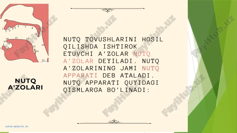 fonetika - Page 3