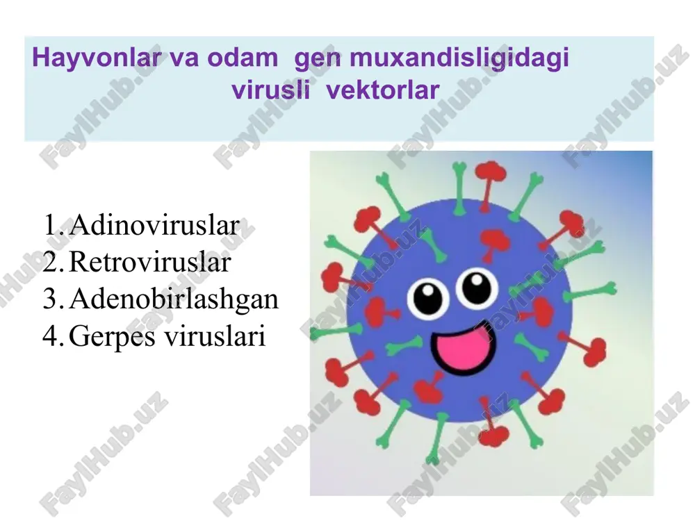 nlarning yashab qolishi juda yuqori bo'lib, 35-80% tashkil qiladi. transgenli avlodlarning olinishi esa 10-70% tashkil qiladi. suniy rangli baliqlar gfp oqsili bo’lgan baliqlar gfp geni kiritilgan hayvonlar rak hujayralari metastazasi harakatini ko’rish mumkin rakka qarshi dorilar effektivligini real time ko’rish mumkin yog’ sintez qiluvchi genlari nakaut qilingan sigirlar somatik hujayrali terapiya odamning somatik hujayralari genetik kodi o'zgarishini o'z ichiga oladi. somatik hujayralarga terapevtik genlarni kiritish, masalan: fibroblastlar, myoblastlar, epiteliya hujayralari, asab hujayralari, glial hujayralar. bu asosan to'liq yetilgan organizmlarda bajariladi. odatda nasildan nasilga o’tmaydi. gen terapiyasi nima degani? organizmda biror oqsilni ishlab chiqara olmaydigan difektli genni davolash uchun virusli vektor tizimlaridan foydalangan holda sog'lom genni organizmga ex vivo yoki in vivo kiritishga aytiladi. ex vivoda organizmdan kasal to’qima hujayralari ajratib olinadi, virus bilan gen kiritiladi, sog’lomlari saralab olinib kasal organga transplantatsiya qilinadi ex vivo gen terapiyasi. ex vivo gen terapiyasi quyidagi bosqichlarni o'z ichiga oladi. 1. bemordan hujayrasini olish. 2. …