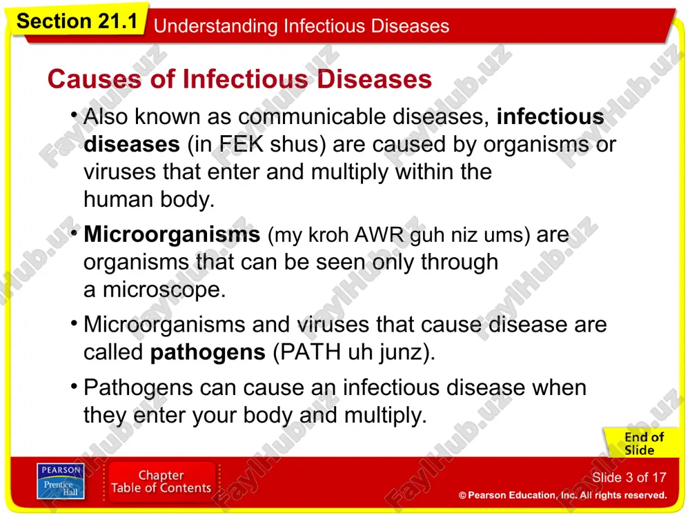 acteria simple, single-celled microorganisms. toxin a poison given off by some bacteria that can injure cells. virus the smallest type of pathogen. section 21.1 understanding infectious diseases vocabulary fungi organisms such as yeasts, molds, and mushrooms that grow best in warm, dark, moist areas. protozoan a large and complex single-celled organism. section 21.1 understanding infectious diseases quicktake quiz click to start quiz. section 21.1 understanding infectious diseases end of section 21.1 click on this slide to end this presentation.