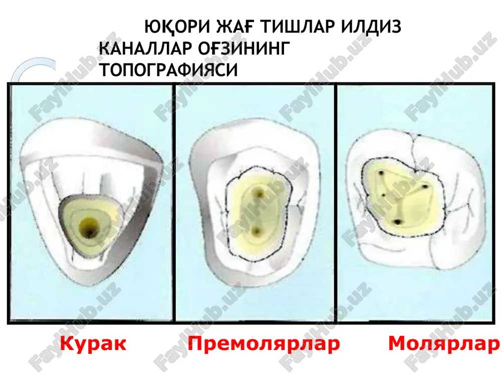 ildiz kanallariga asbob yordamida ishlov berish - Page 3
