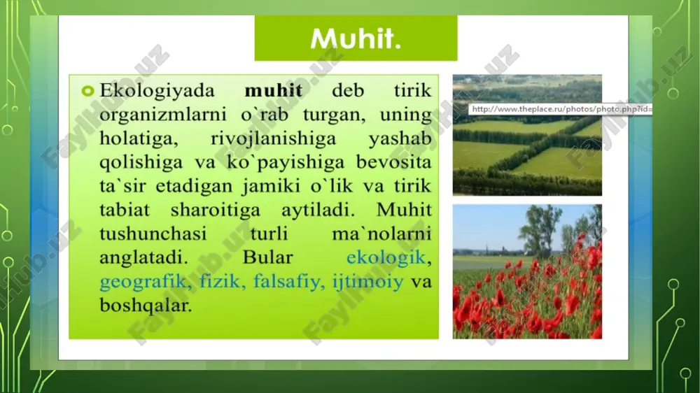 inson va geografik muhit - Page 3