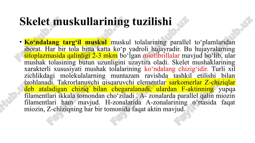 lari, ayniqsa miyokard infarkti, orttirilgan mushak kasalliklari sifatida tasniflanadi. duchenne mushak distrofiyasi tug'ma kasallikka misol bo'la oladi. kasallik aktinni sarkolemmadagi oqsillar (mushak tolasini o'rab turgan hujayra membranasi) bilan bog'laydigan strukturaviy oqsil bo'lgan distrofin mushak oqsilidagi nuqson tufayli yuzaga keladi. kasallik progressiv mushaklar atrofiyasiga olib keladi. genetik darajadagi nuqsonning sababi distrofin genining muhim qismini yo'q qilishdir. bekker mushak distrofiyasi distrofin genidagi nuqta mutatsiyasidan kelib chiqqan xuddi shu kasallikning engil shaklidir. makardl sindromida mushak glikogen fosforilazasining etishmovchiligi mavjud. bu kasallik bilan og'rigan bemorlarda glikogen mushak hujayralarida parchalanmaydi , balki to'planadi. jigar fosforilazasi normal ishlaydi. tug'ma miopatiyalar mitoxondrial genlardagi mutatsiyalar natijasida ham yuzaga kelishi mumkin (melas sindromida bo'lgani kabi, leytsin uchun mitoxondrial trnk geni mutatsiyaga uchragan). miyokard infarktining sababi kislorod bilan ta'minlanmaganligi sababli yurak mushaklarining ishemiyasi. bunday holatda atfni asosan oksidlanish almashinuvi orqali oladigan kardiomiotsitlar anaerob glikolizga o'tishga majbur bo'ladi . natijada, laktat va protonlarning kontsentratsiyasi shunchalik ko'payadiki, mushaklarning muntazam qisqarishi to'xtaydi. bu …