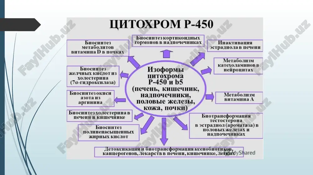 katsiya asoslari. p450 sitoxromlari aminokislotalar ketma-ketligi homologiyasiga ko'ra 20 oilaga guruhlangan. uchta oila - cyp1, cyp2 va cyp3 - substratlarga xos bo'lmagan fermentlarni o'z ichiga oladi va ko'p miqdordagi begona moddalar (ksenobiotiklar), shu jumladan dorilar almashinuvida ishtirok etadi. farmakogenetika uchun, xususan, oltita gen (cyp1a1, cyp1a2, cyp2c9, cyp2c19, cyp2d6 va cyp3a4) ayniqsa muhimdir, chunki ular kodlagan oltita ferment keng tarqalgan ishlatiladigan barcha dorilarning 90% dan ortig'ida i faza metabolizmi uchun javobgardir. faqatgina cyp3a4 klinik tibbiyotda qo'llaniladigan barcha dorilarning 40% dan ortig'ining metabolizmida ishtirok etadi. bundan tashqari, ko'pgina cyp genlari juda polimorfik bo'lib, allellar dori terapiyasiga javob berish uchun haqiqiy funktsional oqibatlarga ega. cyp allellari ko'plab dorilarning metabolizm tezligiga ta'sir qiluvchi ferment faolligining yo'qligi, kamayishi yoki oshishiga olib kelishi mumkin. misol uchun, cyp2d6, birinchi faza metabolizmidagi asosiy sitoxrom 70 dan ortiq turli dori vositalarida faoldir. cyp2d6 genida 26 ta allel tasvirlangan, bu uning faolligiga uni kamaytirish, yo'q qilish yoki oshirish (blok) orqali …