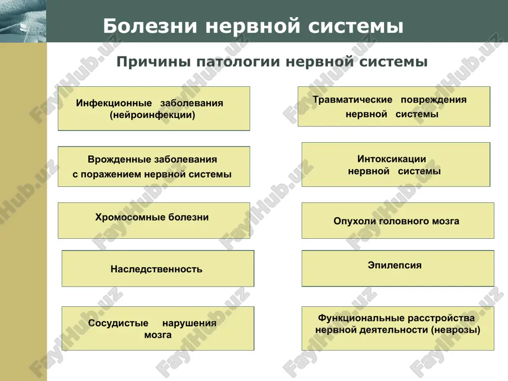 narusheniy chuvstvitelnosti a – nevriticheskiy tip; b – segmentarniy tip; v – narushenie chuvstvitelnosti pri porajenii zritelnogo bugra; g – polinevriticheskiy tip. www.themegallery.com company logo narushenie organov chuvstv varianti narusheniy poley zreniya i – amavroz (slepota); ii, iii – raznoimennaya gemianopsiya; iv – odnoimennaya gemianopsiya; v – verxnyaya kvadratnaya odnoimennaya gemianopsiya; vi – nijnyaya kvadratnaya odnoimennaya gemianopsiya; vii – odnoimennaya gemianopsiya s soxrannostyu tsentralnogo zreniya; viii – skotoma. www.themegallery.com company logo diagnostika narusheniy visshix psixicheskix funktsiy issledovanie agnoziy risunok bolnogo so zritelnoy prostranstvennoy agnoziey. ignorirovanie levoy storoni. risunki, pred'yavlyaemie bolnim dlya raspoznavaniya agnoziy www.themegallery.com company logo diagnostika narusheniy visshix psixicheskix funktsiy issledovanie apraksiy konstruktivnaya apraksiya. bolnoy ne mojet slojit iz palochek domik. risunki bolnogo s konstruktivnoy apraksiey www.themegallery.com company logo vrojdennaya patologiya razvitiya poroki razvitiya cherepa: a – aksitsefaliya; b – gidrotsefaliya; v – akrotsefaliya; g – mikrotsefaliya. www.themegallery.com company logo nervnaya kletka infektsionnie bolezni nervnoy sistemi (obshie svedeniya) mexanizm …