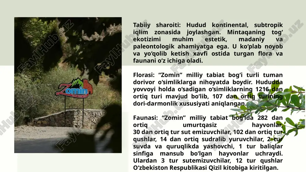 arning otda sayr qilishini taʼminlash maqsadida 1 dona foytun tashkil qilingan. 7 xorazim mtb xorazm viloyati o‘zbekistonnning shimoliy-g‘arbida, amudaryoning quyi qismi, 600-610 sharqiy, 400-410 shimoliy kenglikda joylashgan. xorazm viloyati hududi turon pasttekisligining shimoliy qismida bo‘lib, qadimgi amudaryo yoyilma(delta)si chap qirg‘og‘ini bir qismi va o‘ng qirg‘og‘ida qizilqumning bir oz qismini egallagan. tabiiy sharoiti: xorazm milliy tabiat bog‘i cho‘l -qurg‘oqchil zonada joylashgan bo‘lib, keskin o‘zgaruvchan (kontinental) iqlimi bilan ajralib turadi. havo harorati, yozda + 43, +54 gradusga, qishda yesa -16, -28 gradusga tushishi mumkin. yillik yog‘in miqdori 120 -140 mm.ni tashkil etadi. florasi: hududida saksovulzorlar, to‘qaylar, taqirlar o‘simliklari mavjud. tabiat bog‘ida o‘simliklarning 13 oila dan ortiq turi qayd etilgan faunasi: pitomnik faunasi juda xilma-xil. daryo buyidagi to‘qayzorlarda, yovvoyi cho‘chqa, to‘qay mushugi, bo‘rsiq, silovsin, chiyabo‘ri kabi qator sut emizuvchilar, qirg‘ovul, qizilishton, zarg‘aldoq , haqqush kabi qushlar va har xil sudralib yuruvchilarni uchratish mumkin. umurtqali hayvonlardan toloy tovushqoni, tulki, qum mushugi, chiyabo‘ri, har xil …