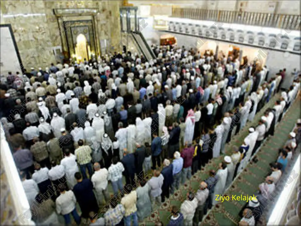 ida davlat dini bo‘lishi mu'taziylikka qarshi kurashgani uchun bir necha bor qamalgan va jazolangan. xanbaliya mazhabi tarafdorlari avvallari faqatgina qur'on va sunnagagina tayanib, shar'iy hukmlar chiqarsalar, keyinroq qiyos va ijmo‘ning qo‘llanishida ham ular tanho muhammadning safdoshlari bo‘lmish sahobalarning hamjihatligidan kelib chiqqan hukmlarnigina inobatga olar edilar. ularning rasmiyatchiligi o‘ta ketgan mutaassibligi, jonli tarixiy haqiqatdan uzoq turgan qarashlari, ijtimoiy hayot va turmush tarzidagi har qanday yangiliklarga zid ekanligi sababli – mazhab xii- asrgacha keng tarqalmagan. undan keyingi asrlarda xanbaliya tarafdorlari yana kamayib ketgan. xviii asrda paydo bo‘lgan vahobiylar xanbaliya tarafdori bo‘lib chiqqan. vahobiylar saudiya arabistonda hokimiyatni qo‘lga olgach, xanbaliya qonunlarini amalga kiritganlar. u erda xanbaliyaning ilk islomga xos qonunlari hozir ham amalda. mazkur mazhablar va ulardagi xuquqshunoslik o‘rtasida, yuqorida qayd qilib o‘tilganidek, sabr-toqat va mutaassiblik darajasi xususida bir oz tafovut mavjud bo‘lib, ular islom diniy ta'limoti doirasidan tashqariga chiqmaydi, ya'ni bu mazhablarning hammasi ortodoksal hisoblanadi. ziyo kelajak shialik (arab.-guruh, tarafdorlar) –islomdagi asosiy …