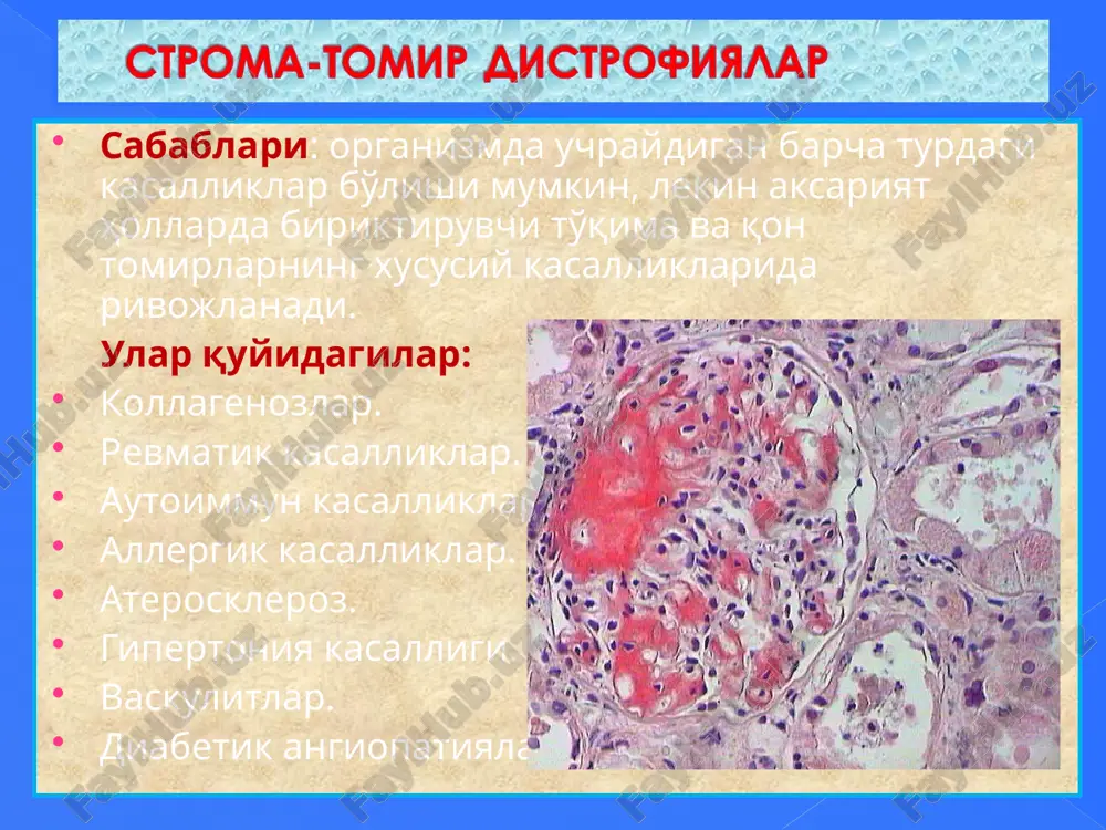 patologik anatomiya - Page 3