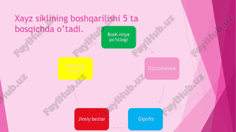 ilishlari,tomir krizlari, aqb assimetriyasi xushdan ketish holatlari yurak aritmiyasi keyinchalik esa yog va suv tuz almashinuvi buzilishlari tufayli gipotalamik tipdagi xomsemizlik bu shakli quyidagi kasalliklarda uchraydi diensefal sindrom diensefal epilepsiya itsenko-kushing kasalligida gipofizar amenoreya adenogipofizning organic shikastlanishi tufayli yuzaga keladi tuxumdonlar faoliyati buzilibgina qolmay qalqonsimon bez, oshqozonosti bezi, buyrakusti bezlari faoliyati ham buziladi. bu shakli simmond kasalligida ahamiyatga ega. o’ziga xos belgisi birdaniga ozib ketish va ozish fonida kuzatiladigan amenoreya. davosi normal ovqatlanish tartibi. oqsil uglevod, mineral tuzlarga boy mahsulotlar istemol qilish vitaminoterapiya (ayniqsa b, e, a ) anabolik steroidlar ogir holatlarida kortikosteroidlar endokrinologlar davolaydi kiari-frommel sindromi (giperprolaktinemiya) amenoreya galaktoreya (yoki laktoreya – sut bezidan doimiy maloziya ajralishi) jinsiy a’zolar atrofiyasi yoki gipotrofiyasi shixan sindromi adenogipofiz to’qimasining nekrotik o’zgarishi tufayli yuzaga kelib, tugruqdan keying akusherlik patalogiyalarida kuzatiladi tugruq va tugruqdan keying davr va abortda keying davrda massiv qon ketish natijasida yuzaga keladi katta hajmda qon yo’qotilish natijasida ab tushib ketadi, …