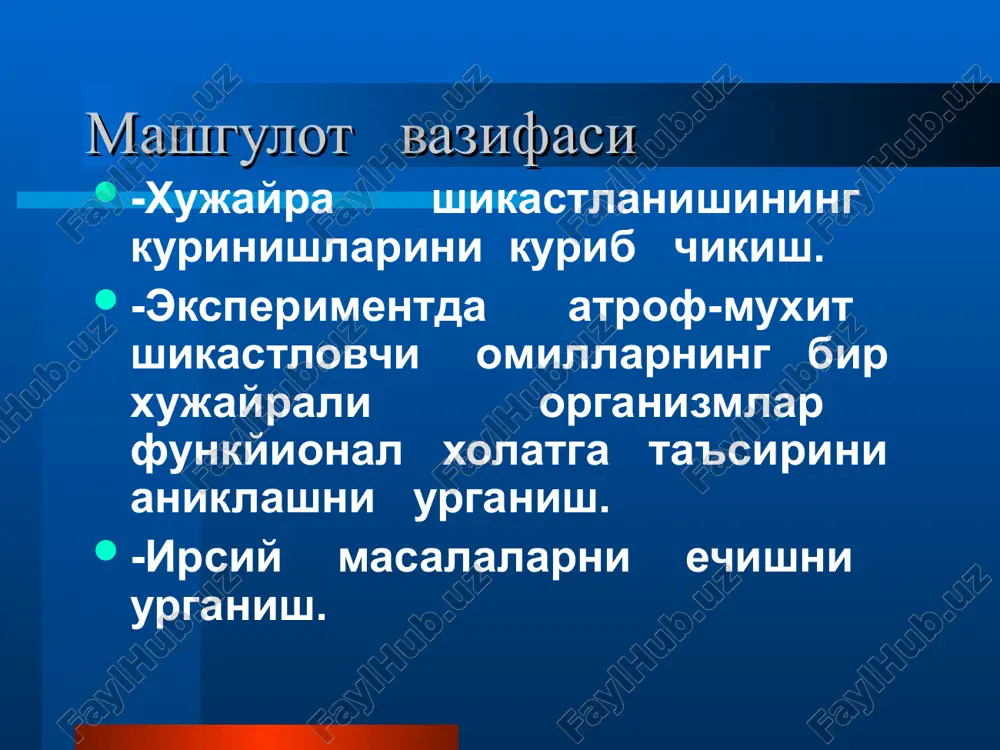 n bo'lgan bolalar monozigotali egizaklar dizigotali egizaklar naslsiz nikoh kasallar geterozigotali tashuvchilar mukovistsidoz kasalligidagi o'zgarishlar autosom dominant irsiyat tiplari dyushena kasalligi (gen kasalligi) egizaklar metodi gurler sindromi (mukopolisaxari-doz i tipi) dermotoglifik metod (kaftdagi asosiy burmalar) yadro va xromasomada patologik o'zgarishlar xromasoma kasalligining patologik ko'rinishi klaynfelter sindromi. 10 yoshli bola kifoz yuz va ko'z gavxarining o'zgarishi sxxx – trisomiya kasalligi daun kasalligi ko'rinishlari germofradit