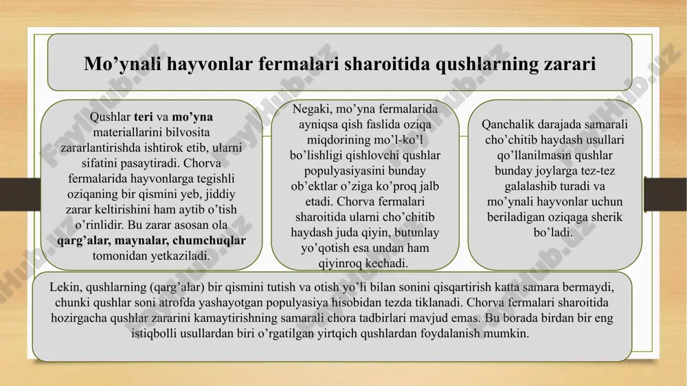 ydo bo’ldi va u yetarli darajada oshib bormoqda. katta ola qizilishtonlar energiya tarmog’i yog’och ustunlarni yuqori qismini shikastlamoqda. qizilishtonlar ustunlarni izolyatorlar yaqinidagi bosh qismlarini teshib tashlashi tufayli zarar yetkazadi, bunda chuqur yoriqlar paydo bo’ladi, natijada u yerlarda zamburug’lar florasi rivojlanadi. ustunning cho’qisi chiriydi, izolyatorlar turgan joylar ko’proq shikastlanadi, ba’zi hollarda tushib ham ketadi. shunday qilib, qizilishtonlar tomonidan elektr uzatishdan yog’och ustunlarni shikastlanishlari mamlakat masshtabida ancha katta zarar keltirishi amaliyotchilarni diqqat e’tiborini o’ziga tortmoqda. madaniy yodgorliklar, me’morchilik va sanoat inshootlarining zararlanishi uzoq tarixni qamrab olgan ko’p sonli yodgorliklarga, katta madaniy qimmatga ega bo’lgan yirik shaharlarda bo’lganimizda nochor ahvolga kelib qolganligini guvohi bo’lamiz. haykallar va binolarda zich qo’nib turgan ko’k kaptarlarni, ularning axlatlari bilan bulg’anganligini, yuzasini misli zich oq pantsir bilan qoplanganligi, allaqachon kuchli metall korroziyasi hosil bo’lgan izlar ko’rinib turadi. baliqchi qushlar g’arbiy yevropa shaharlari binolarining yassi tomiga o’z uyalarini qo’yib, faol harakatdagi qichqiriq ovozlari bilan aholini bezovtalantirmoqda. qarg’alar va zag’chalar, …