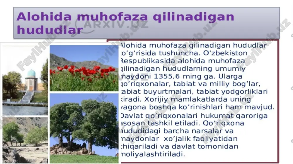 bir inson uchun katta ahamiyatga ega. ona tabiatni kelgusi avlodlarimiz uchun tabiiy holda saqlab qolish - bugungi kunning asosiy muammolaridan biridir. tabiatni asrash har birimizning burchimizdir. adabiyotlar: 1. biologiya: umumiy o'rta ta'lim maktablarining 11-sinfi uchun darslik: 1-nashr/mualliflar: g'afurov a, abdukarimov a, tolipova j , ishankulov o, umaraliyeva m, abduraxmonova t. t.: «sharq», 2018. - 240 b. 2. “o‘zbekiston respublikasi tabiat resurslari vazirligi” 3. baranov i ''qo`riqxonalar va ulardagi xilma - xillik''. image6.png image7.jpeg image8.png image9.jpeg image10.png image11.jpeg image12.jpeg image13.jpeg image14.png image15.png image2.png image3.png image4.png image5.png /docprops/thumbnail.jpeg