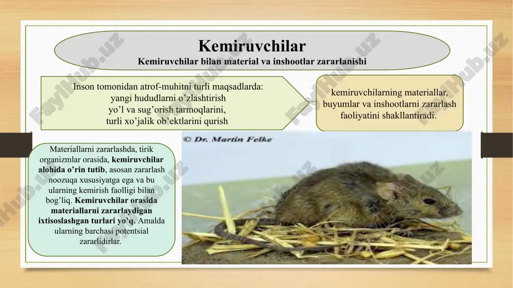rishi mukin. zararlashdan tashqari kemiruvchilar junli buyumlarni, material va mahsulotlarni ekskrement va siydigi bilan ifloslaydi. kemirish ko’pincha hayvonning kovlash faoliyati bilan bog’liq bo’ladi. kanallar qirg’oqlaridagi qoplama plitalar orqasiga, to’g’on va dambalarga kemiruvchilar o’rnashib olib, tepaliklarga in kovlaydi, ko’pincha suv sathidan pastroqda yo’llar quradi. bu o’z navbatida suvning sizishini kuchaytiradi, tuproq uyumlarini yemirilishiga, to’g’onlarni o’pirilishiga va hatto toshqinlarga olib kelishi mumkin. materiallarni kemiruvchilar zararidan himoya qilish materiallarni kemiruvchilar zararidan bevosita himoya qilish yetarli darajada ishlab chiqilmagan, chunki kemiruvchilarning zararlash faoliyati turli-tumandir. kemiruvchilarga qarshi kurashdan asosiy maqsad ma’lum bir ob’ektlarda, inshootlarda, aholi punktlarida va h. ularning sonini qisqartirish yoki zararkunandalarni to’liq qirib yo’qotishdan iboratdir. tadbirlar ikki yo’nalishda amalga oshiriladi: kemiruvchilar o’tishini oldini olishni ta’minlaydigan umumiy proflaktik choralar va kimyoviy, mexanik va biologik kurash usullarini qo’llab, qirish choralarini amalga oshirish. yuqori natija olish uchun barcha tadbirlar sistematik ravishda o’tqazilishi kerak. kurash yutug’i ushbu sharoitda yuqori samarali vositalarni tanlash va undan to’g’ri foydalanishga bevosita …