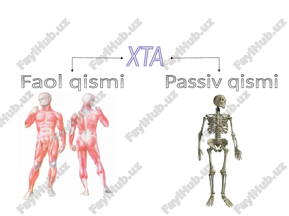 (5-15 yoshda) sodir bo'ladi; qizlarda — 3-6 marta tez-tez. o'ng va chap tomonda bo'lishi mumkin. umurtqaning ko`krak qismida paydo bo`ladi; keyinchalik bel qismiga o`tib s shaklidagi ko`rinishga ega bo`ladi. ogʻir s.da tos suyagining egilishi paydo boʻladi, yurish buziladi, oʻpka va yurak faoliyati buziladi. xronologik kassifikatsiya qonuniyati : chaqaloq (skolioz infantilis), 3 yoshgacha bo'lgan bolalar yoshi bolalar (juvenilis – - 3 yoshdan 10 yoshgacha o'spirin (adolescentis) – skelet o'sishi tugaguniga qadar 10 yoshgacha; (skolyotik umurtqa pog'onasining holati, ayniqsa balog'at yoshida, sezilarli darajada yomonlashadi) kattalardagi skolyoz suyak o'sishi tugaganidan keyin tashxis qilinadi (18-24 yoshdan boshlab) quyidagi belgilar skoliozning rivojlanishini ham ko'rsatadi: tik turgan holatda bir yelka ikkinchisidan yuqori bo'ladi, elkama suyaklaridan birining burchagi tashqariga chiqa boshlaydi va oldinga egilganida umurtqa pog'onasining egriligi ko'rinadi. raxit bu tez o'sib borayotgan yosh bolaning tanasida yuzaga keladigan buzilishlar, birinchi navbatda suyak va asab tizimlariga, ikkinchidan, bolaning boshqa barcha organlari va tizimlariga ta'sir qiladi. "raxit" so'zi yunoncha …