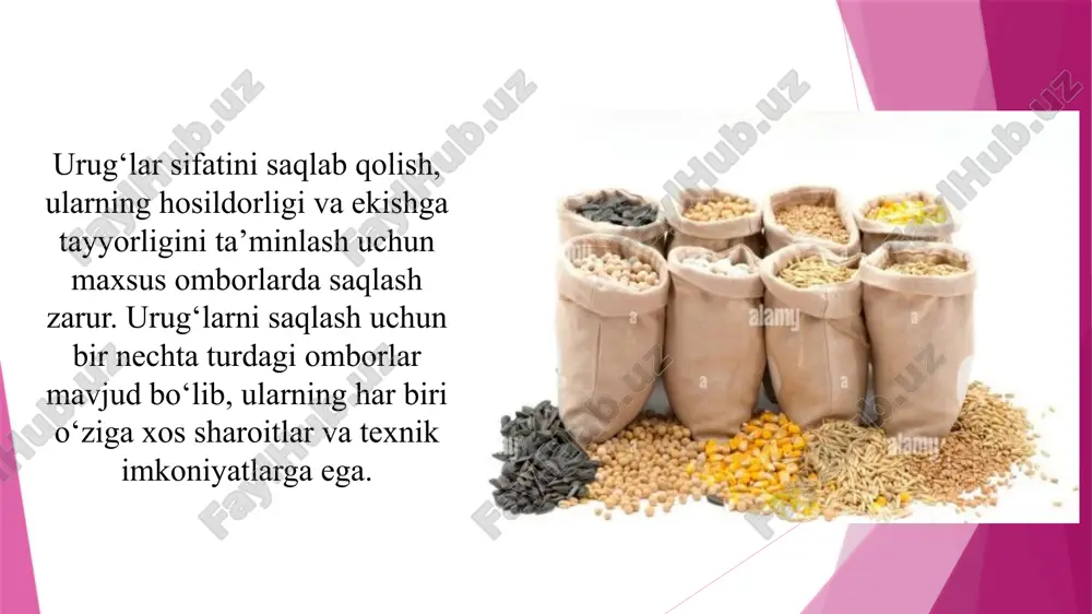 q bo‘lmasligi, yer sathidan biroz balandlikda joylashgan bo‘lishi kerak. shu bilan birga, yomg‘ir suvlari va yer osti suvlari ta’siridan himoyalangan bo‘lish zarur. ombor atrofidagi hudud tozalangan va sug‘orilmagan bo‘lishi maqsadga muvofiqdir. zamonaviy saqlash omborlarida avtomatik monitoring tizimlari joriy etilgan bo‘lib, ular harorat, namlik va boshqa muhim parametrlarni doimiy nazorat qiladi hamda favqulodda holatlar haqida xabar beradi. bu tizimlar mahsulotlarning sifatini uzluksiz nazorat qilishga imkon beradi. tayyor mahsulotlar saqlanadigan omborlarda tartib va tozalikka alohida e’tibor qaratiladi. ombor ichidagi mahsulotlar mintaqaviy joylashtiriladi, eski mahsulotlar yangi kelayotganlardan ajratiladi, ya’ni “birinchi kirgan — birinchi chiqqan” tamoyili asosida saqlash tizimi ishlatiladi. bu usul mahsulotlarning muddati o‘tib ketishining oldini oladi. oxir-oqibat, urug‘lar va tayyor mahsulotlarni to‘g‘ri saqlash — bu ishlab chiqarish zanjiridagi muhim qadam bo‘lib, u ishlab chiqarish samaradorligini oshiradi, mahsulotning foydali xususiyatlarini saqlaydi va qishloq xo‘jaligi sohasining barqaror rivojlanishiga xizmat qiladi. xulosa urug‘lar va tayyor mahsulotlarni saqlashda to‘g‘ri va zamonaviy omborlar tanlash, ularni tozalash, shamollatish, …