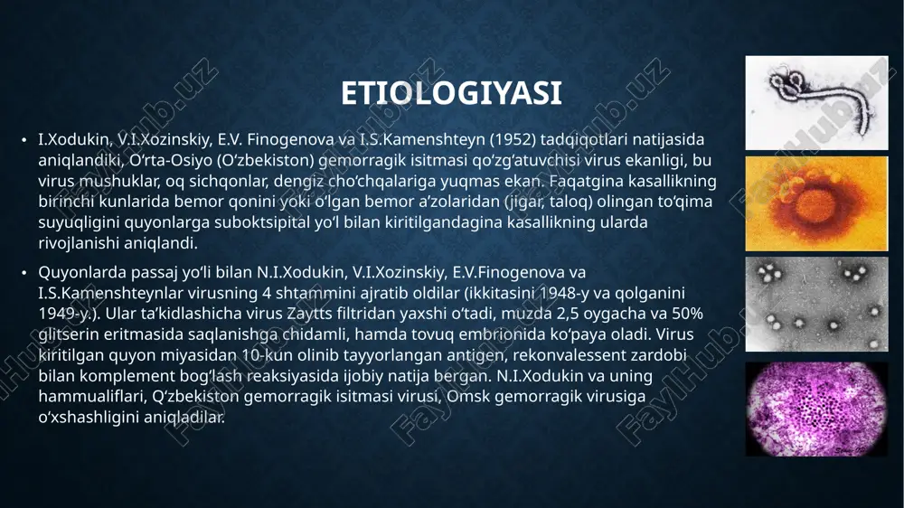 i. ularning yoriqlarida qon laxtalari topiladi. a’zo va to‘qimalarda tomirlarning qon bilan to‘lishi bir tekisda emas, ayrim sohalarda kapillyar kengaygan va qon bilan to‘lgan, ba’zi sohalarda tomir yorig‘i torayganligini ko‘rish mumkin; joylarda spazmlar, perivoskulyar shish va diapedez qon quyulishlar aniqlanadi. klinikasi kasallik kechuvida 4 davr farqlanadi: inkubatsion davri, 3-4 kun davom etadi, kasallikning hech qanday belgilari yo‘q. boshlang‘ich (umumiy toksik), gemorragik belgilar sog‘ayish davri petexial va biroz yirikroq gemorragik toshmalar boshlang‘ich yoki umumiy toksik davr, o‘tkir boshlanadi, iztirobli titrash va haroratining yuqori darajaga ko‘tarilishi bilan kechadi (39-400 s va undan yuqori). bemor kuchli bosh og‘rig‘iga, darmonsizlikka, charchaganlikka, qo‘l-oyoq va beli qaqshab og‘rishiga, umumiy holsizlikka shikoyat qiladi. ba’zida yuqoridagi belgilarga ko‘ngil aynash, qusish, ichning suyuq kelishi qo‘shiladi. yuqori harorat va qayd etilgan belgilar 1-4-kun kuzatiladi. muolajalar o'rnidagi qon ketishi va qon quyilishlar ko'z sklerasiga qon quyilishi keyinchalik 4-5 kunlardan boshlab, harorat pasayadi va gemorragik belgilar davri boshlanadi. ba’zida harorat egri chizig‘i …